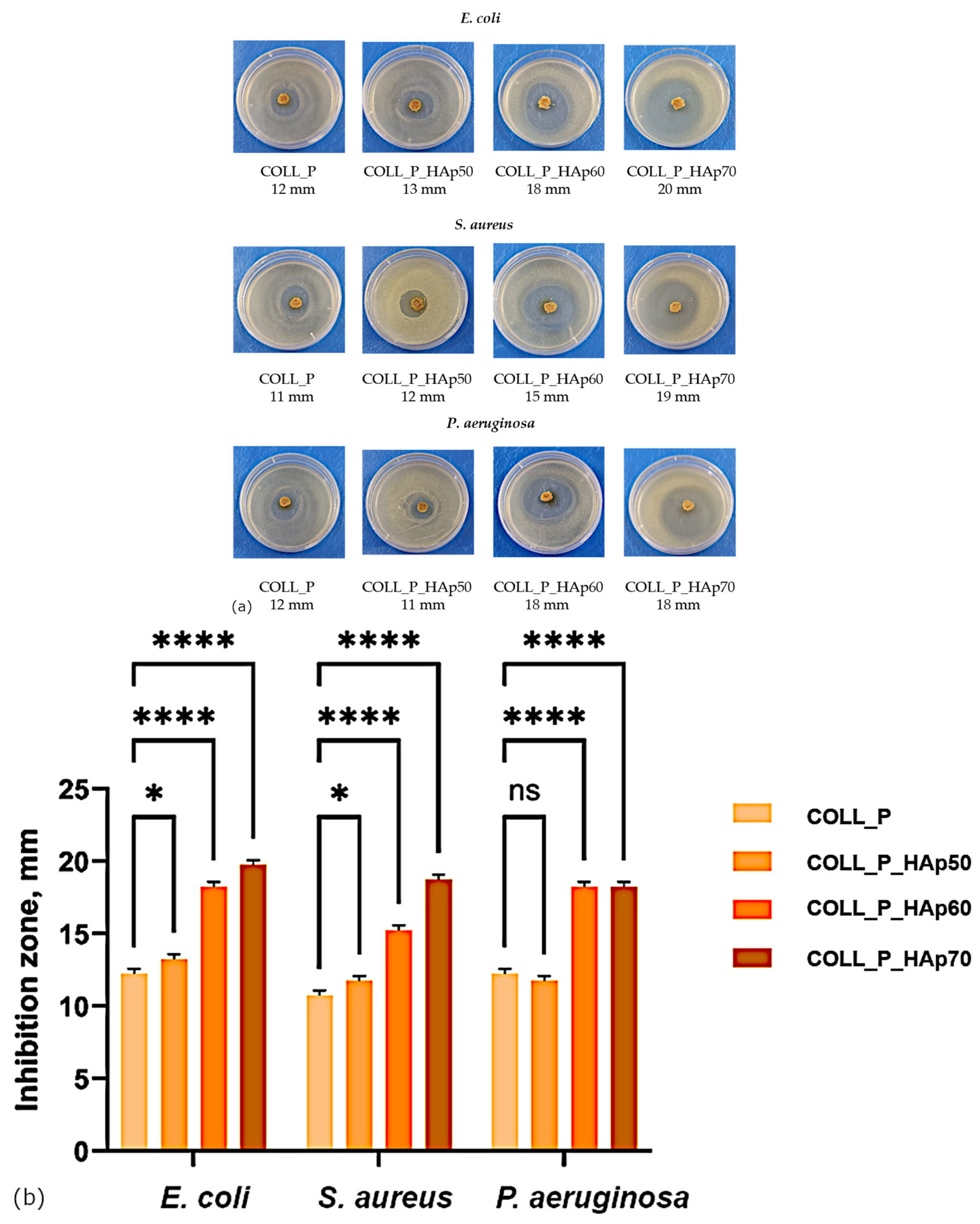Pharmaceutics 18 00033 g012