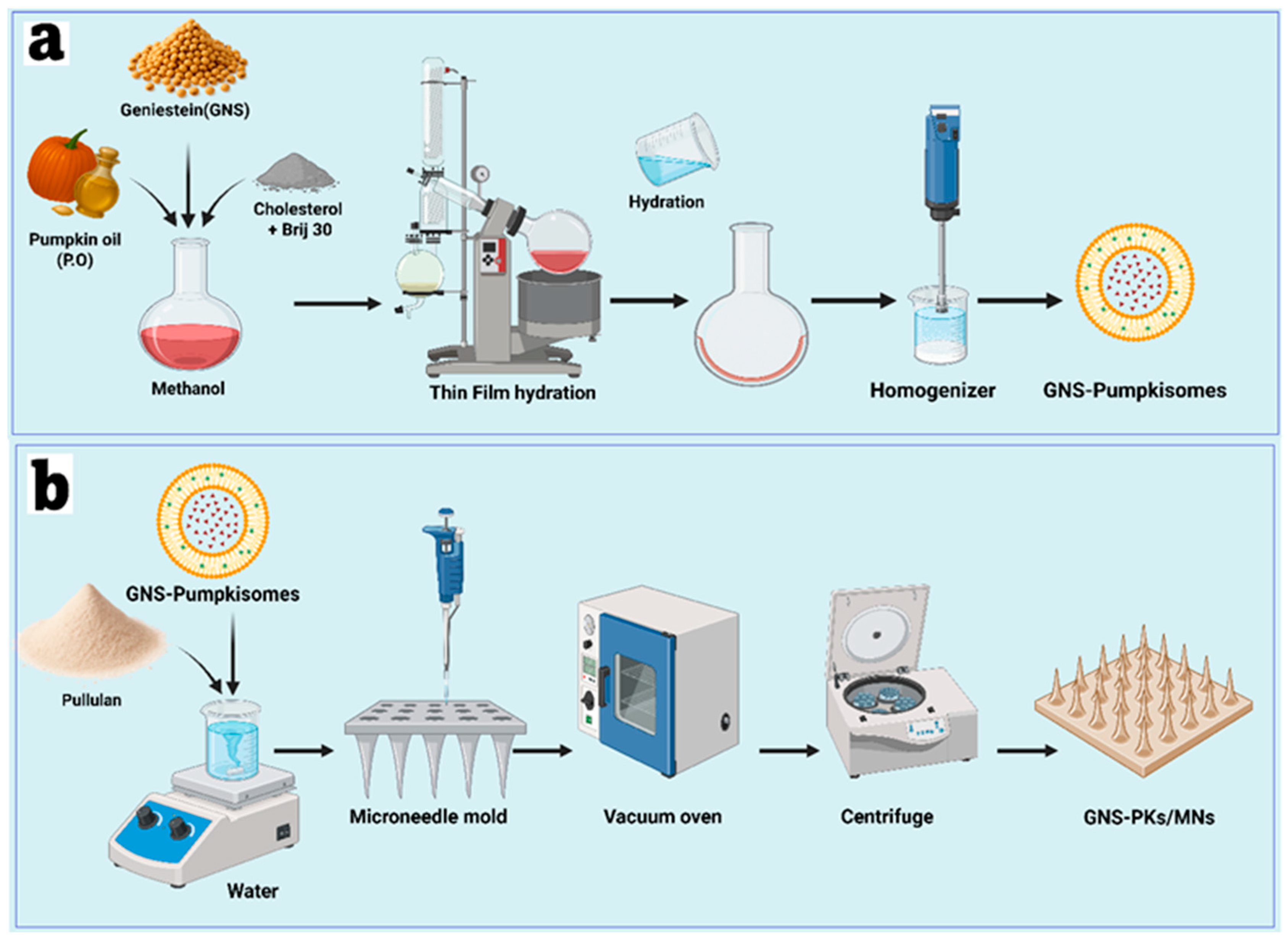 Pharmaceutics 18 00036 g001