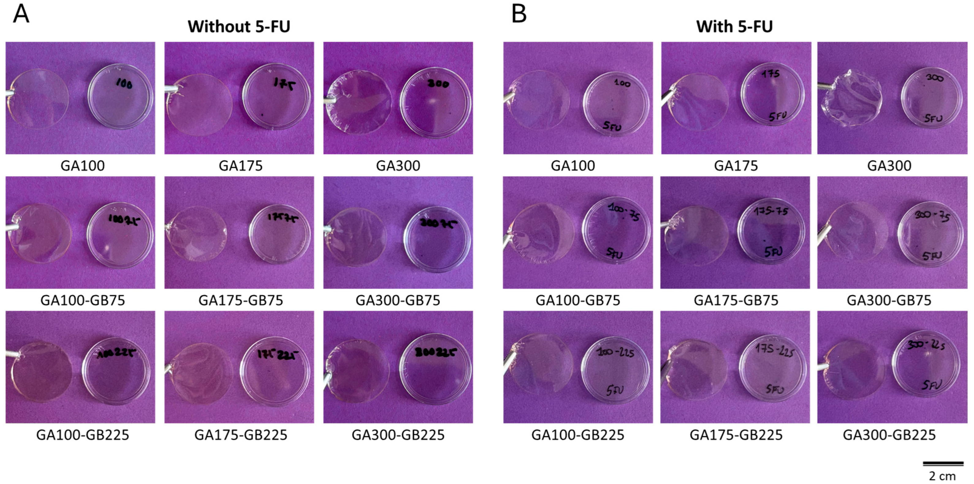 Pharmaceutics 18 00043 g001