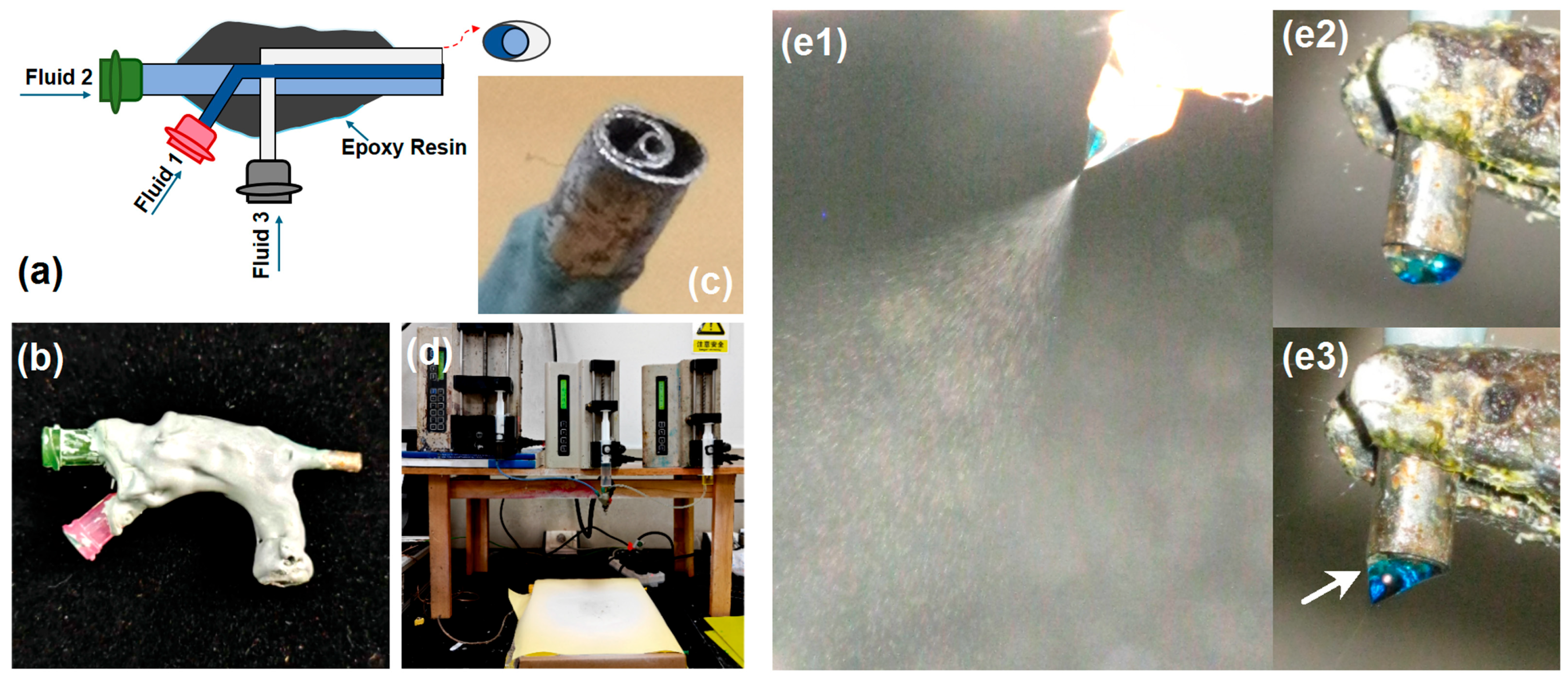 Pharmaceutics 18 00047 g001