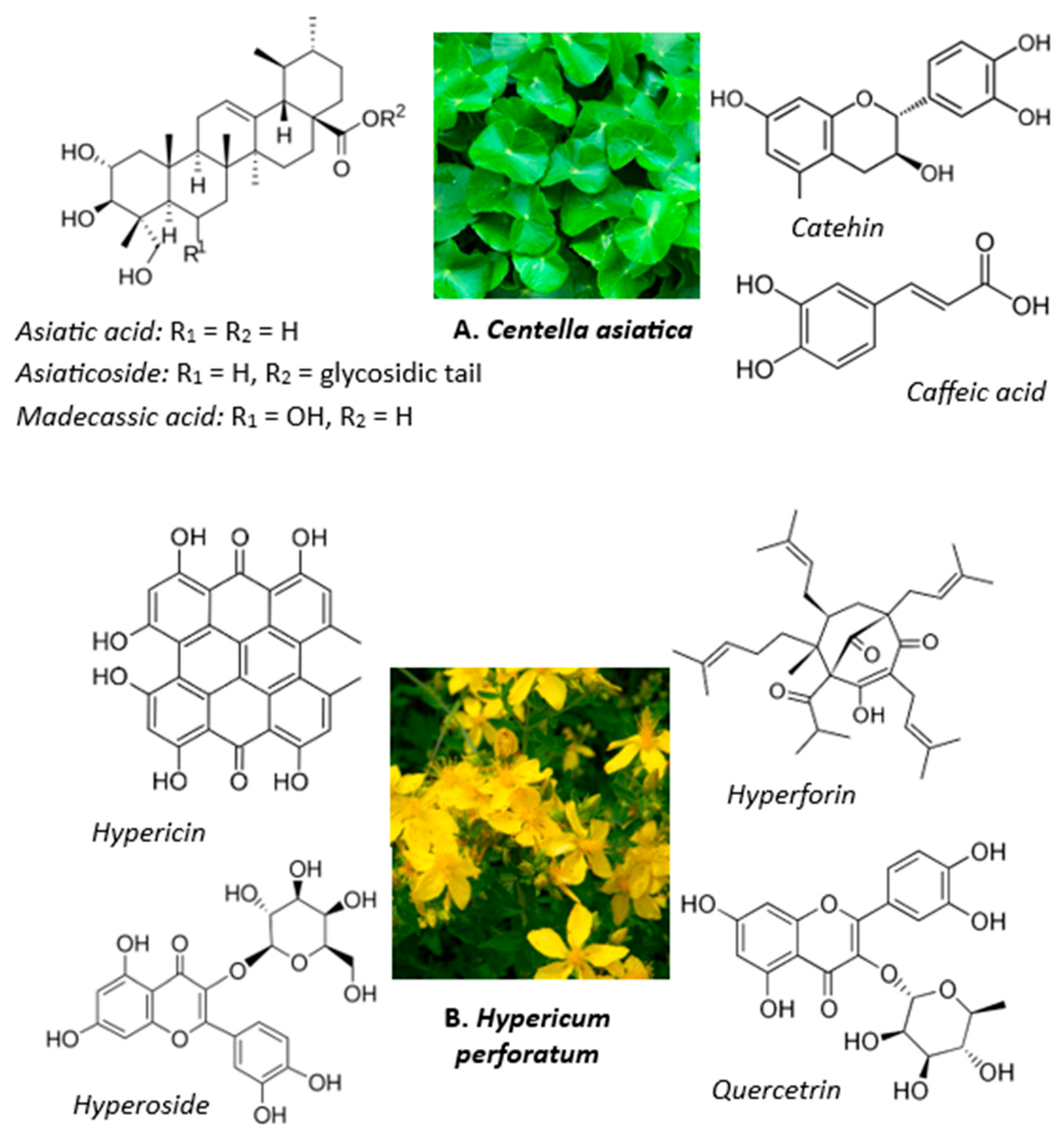 Pharmaceutics 18 00048 g001 Pharmaceutics 18 00048 g001