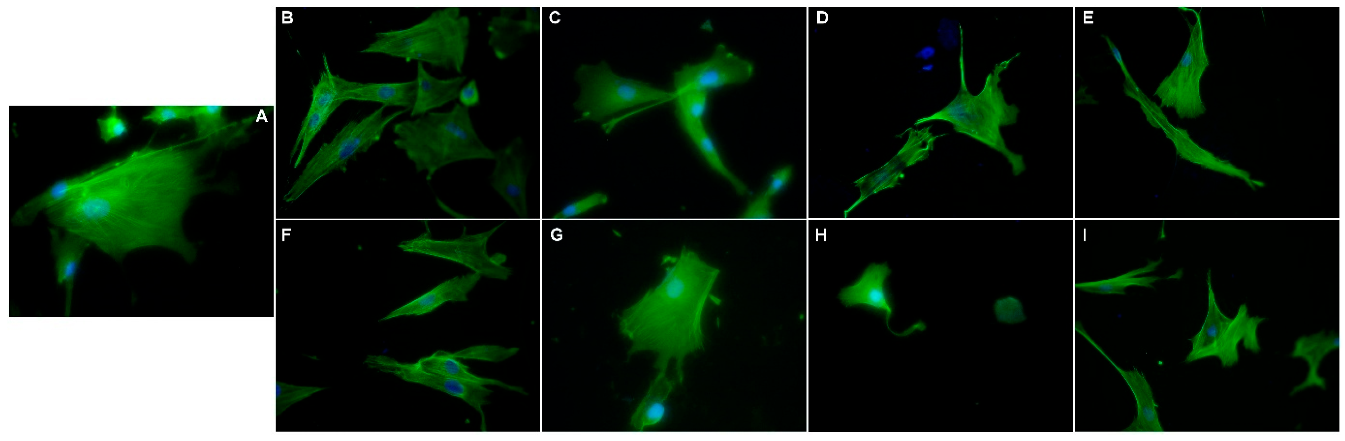 Pharmaceutics 18 00048 g007 Pharmaceutics 18 00048 g007