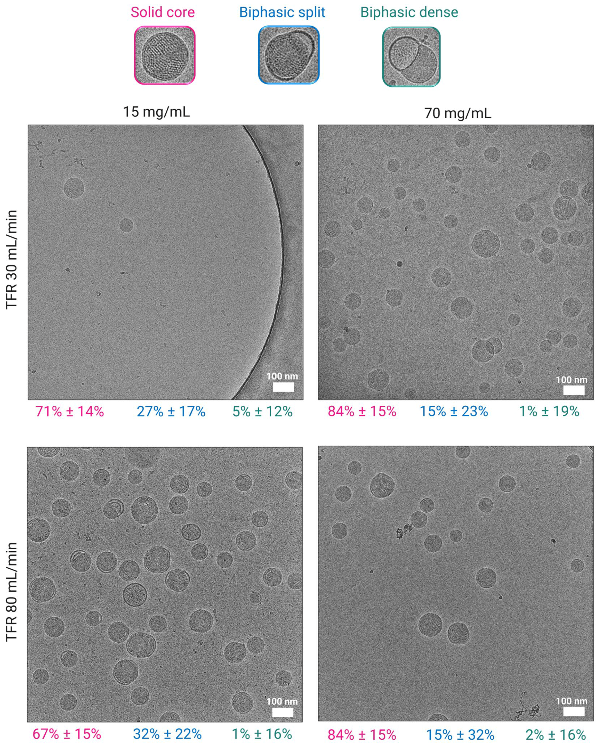 Pharmaceutics 18 00050 g002 Pharmaceutics 18 00050 g002
