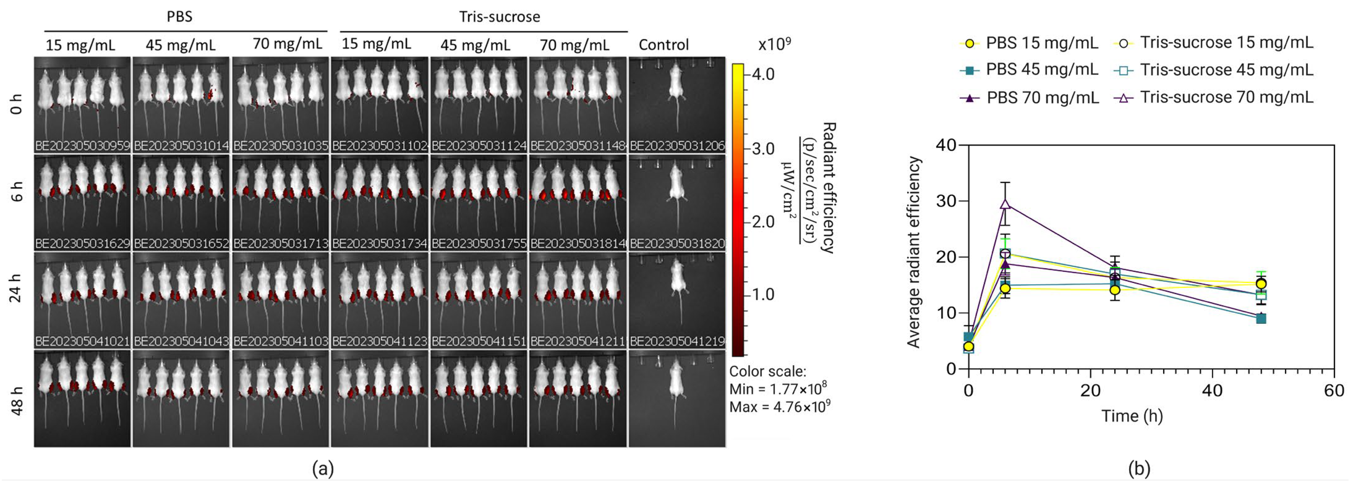 Pharmaceutics 18 00050 g007 Pharmaceutics 18 00050 g007