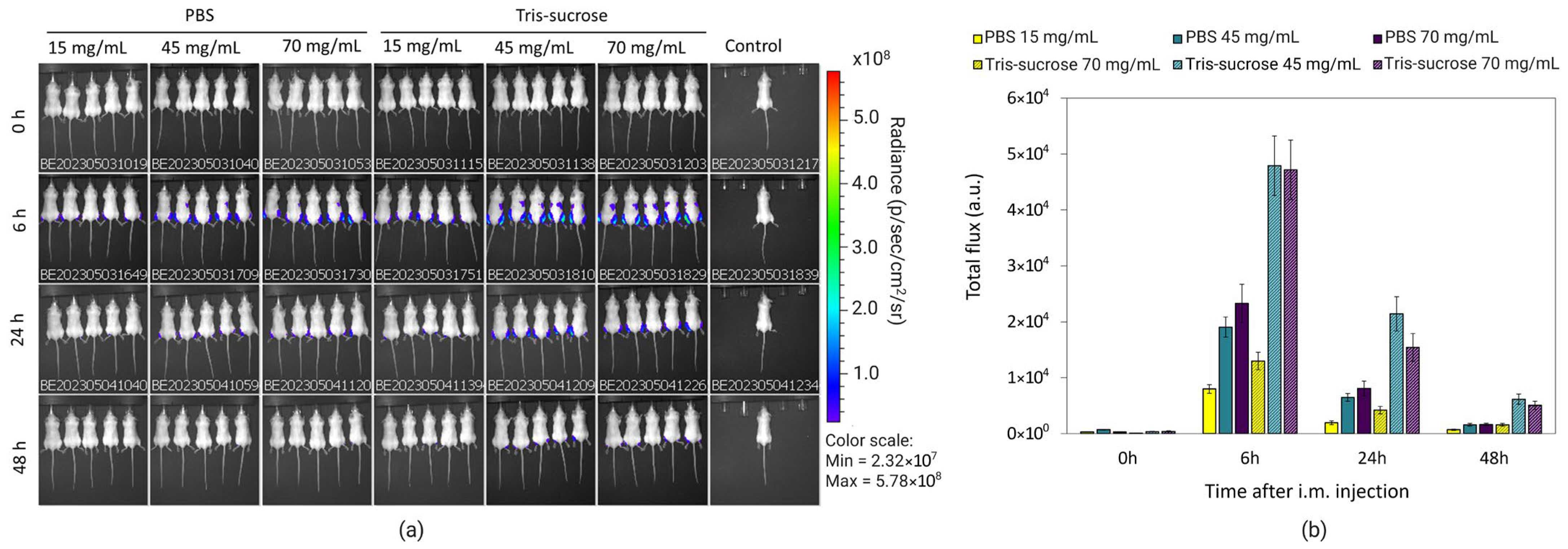 Pharmaceutics 18 00050 g008 Pharmaceutics 18 00050 g008