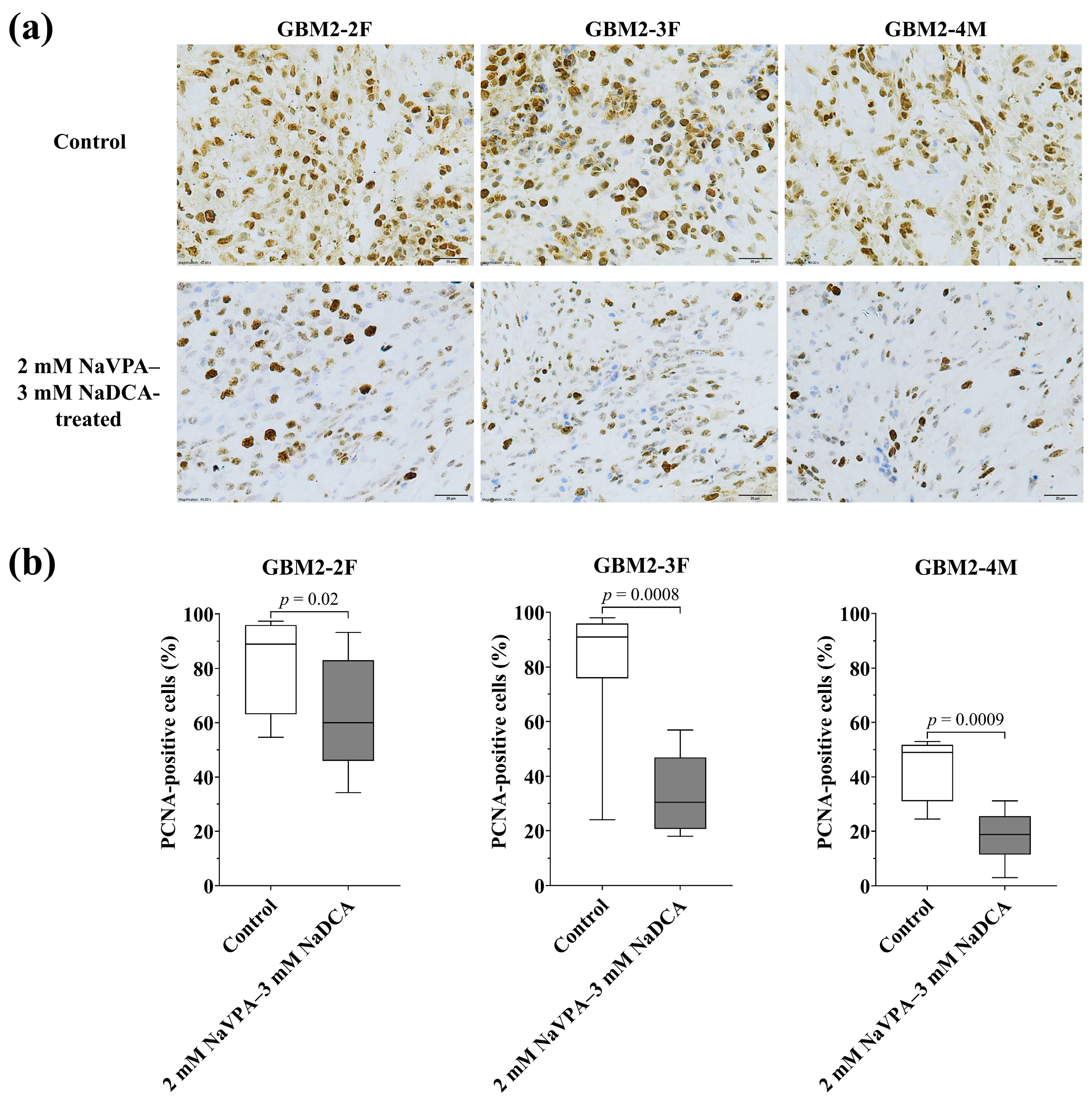 Pharmaceutics 18 00052 g005