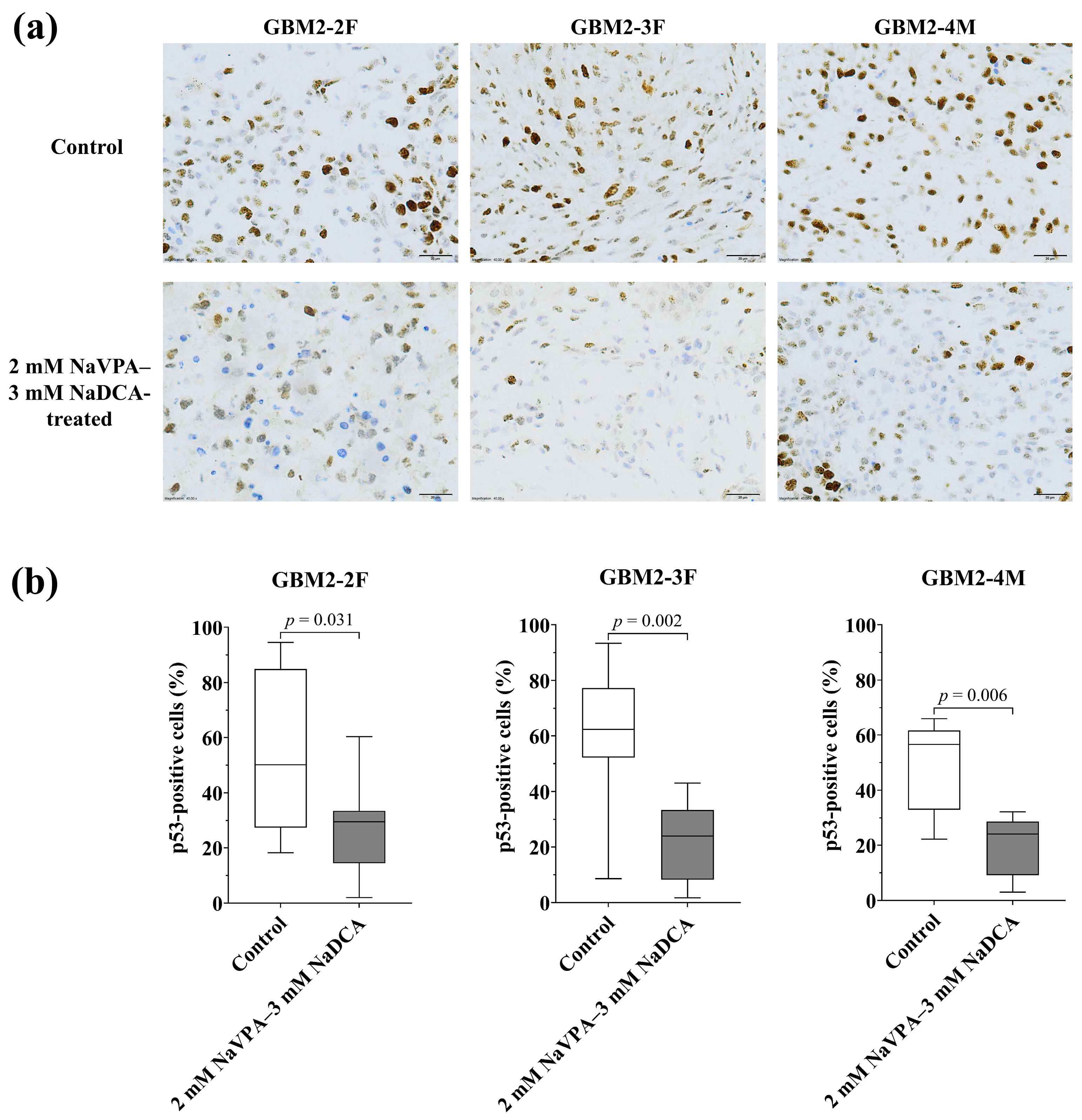 Pharmaceutics 18 00052 g006