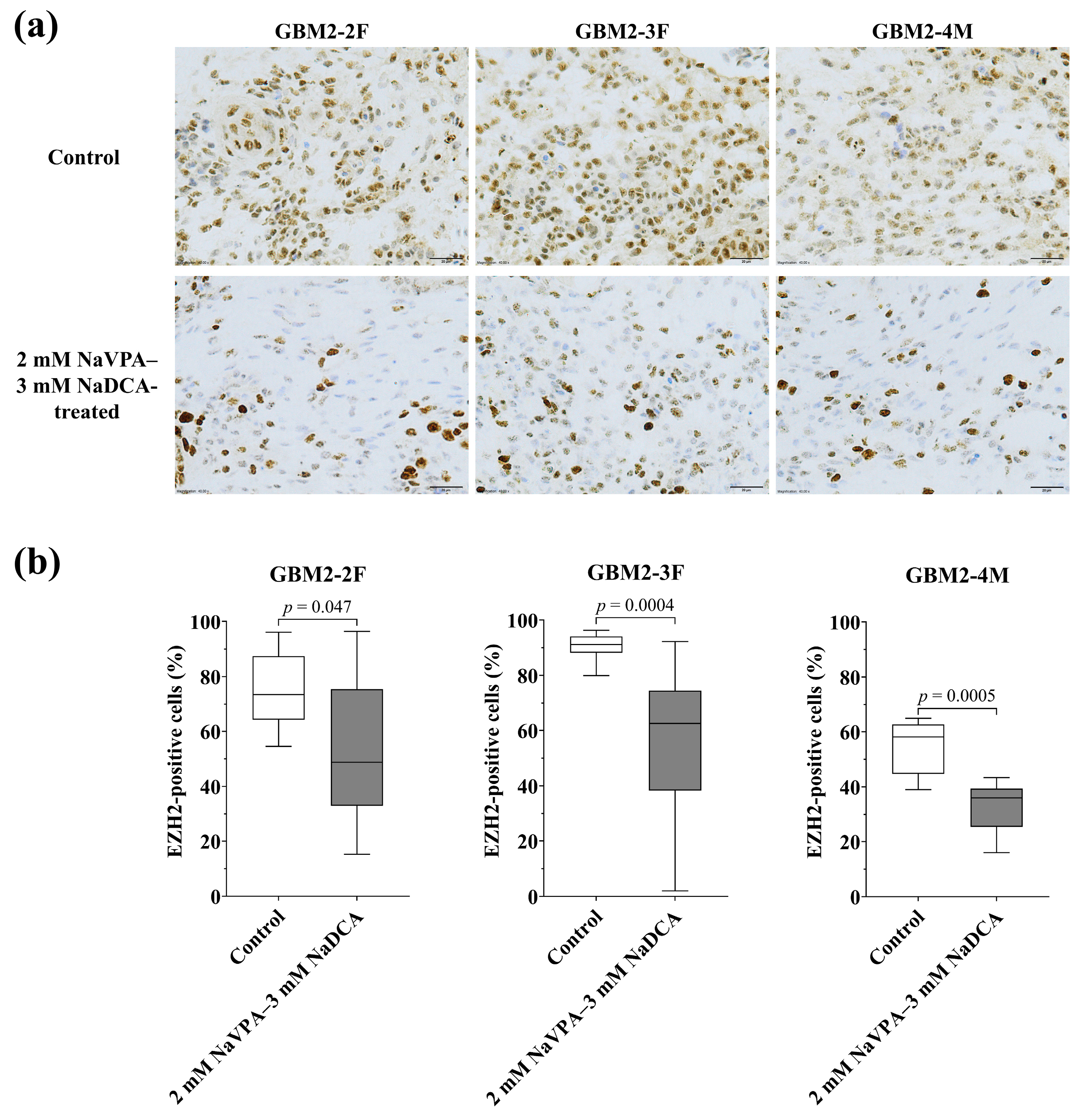 Pharmaceutics 18 00052 g007