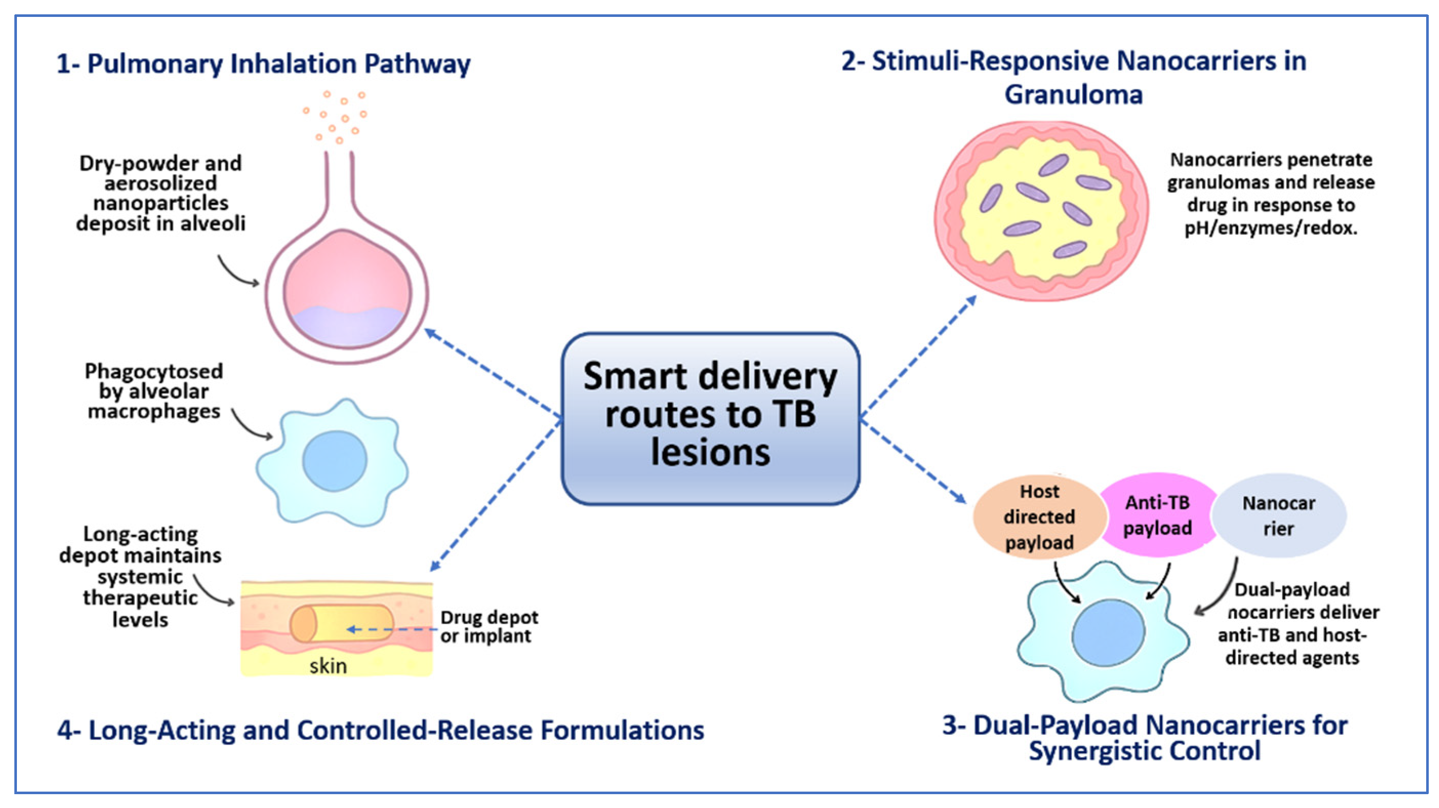 Pharmaceutics 18 00060 g002