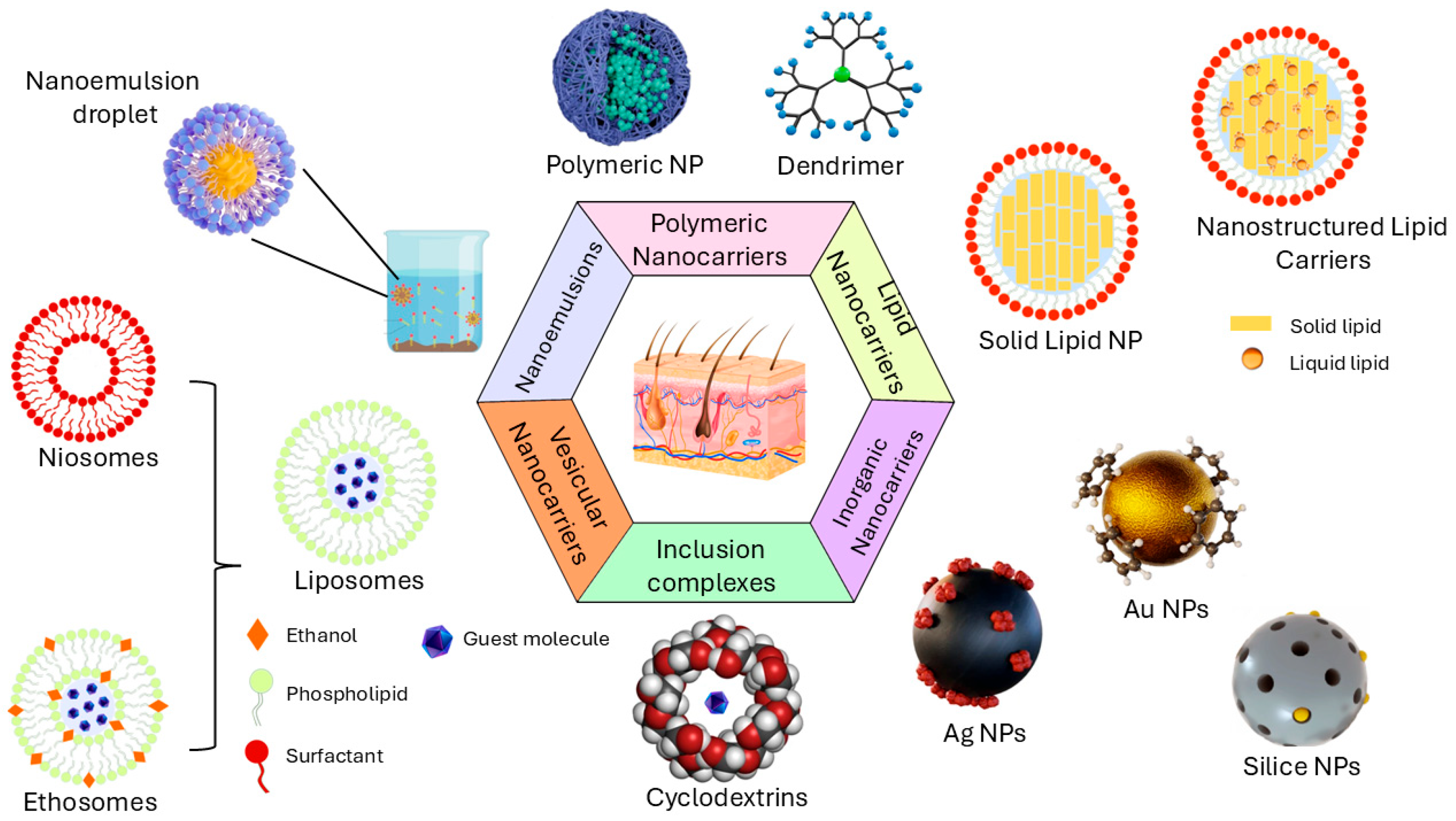 Pharmaceutics 18 00062 g001