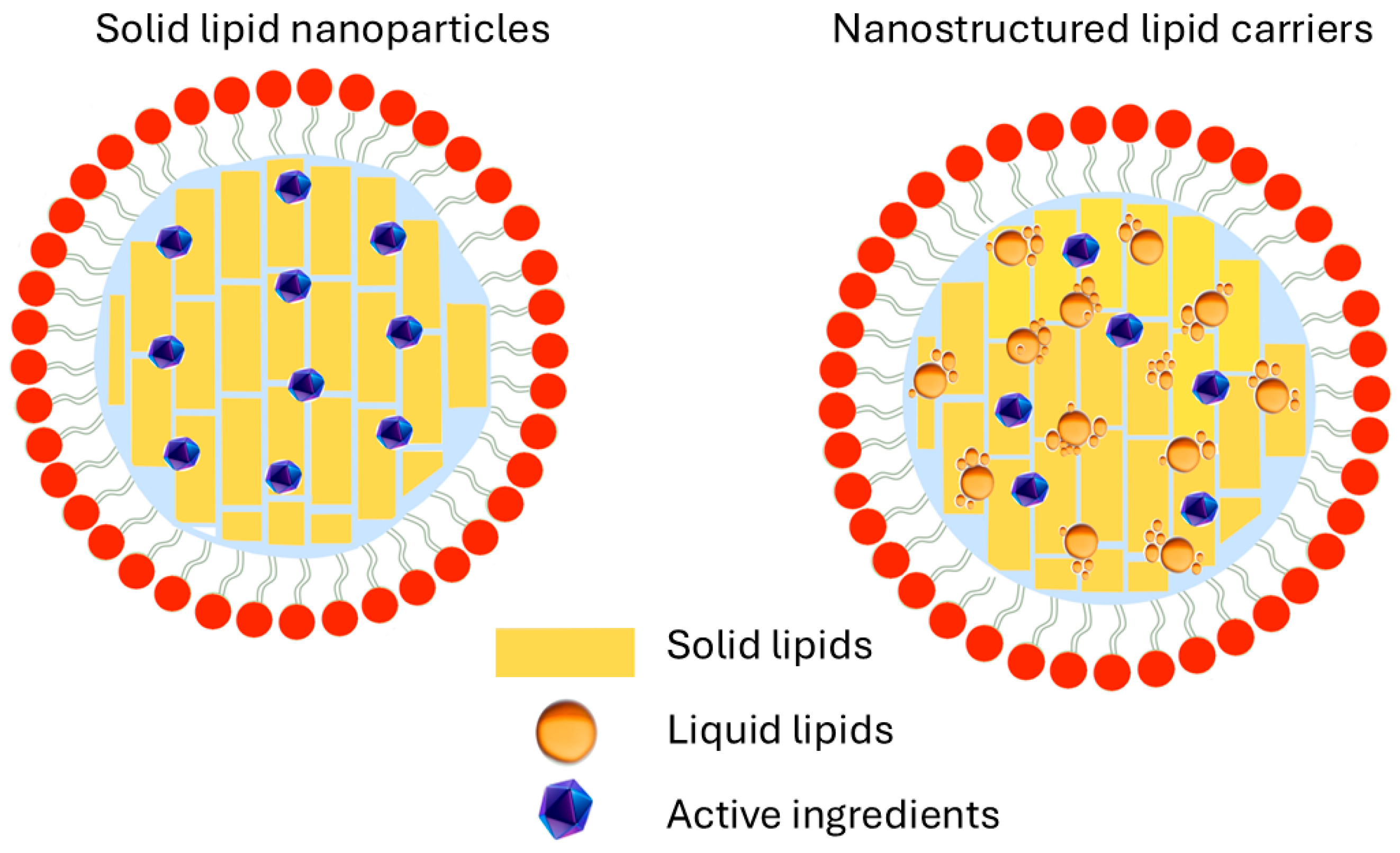 Pharmaceutics 18 00062 g002