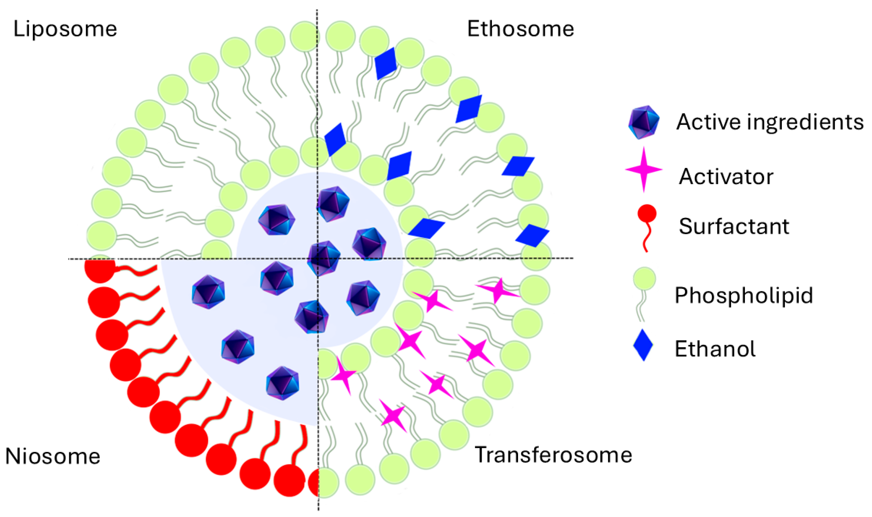 Pharmaceutics 18 00062 g003