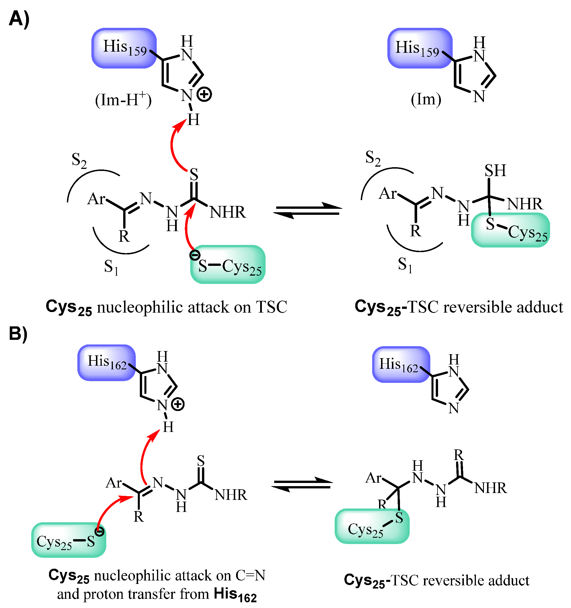Pharmaceutics 18 00065 g005 Pharmaceutics 18 00065 g005