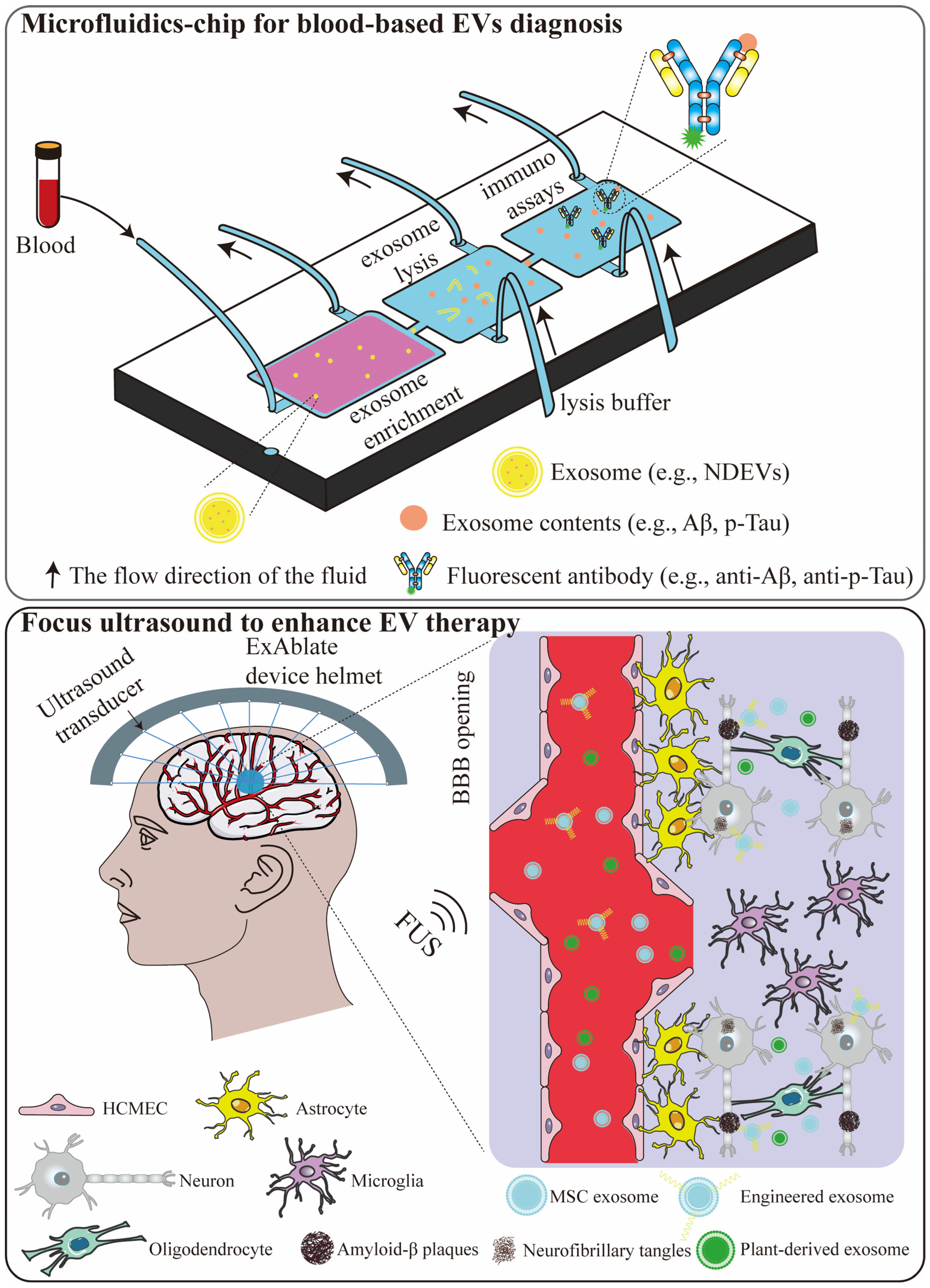Pharmaceutics 18 00070 g002