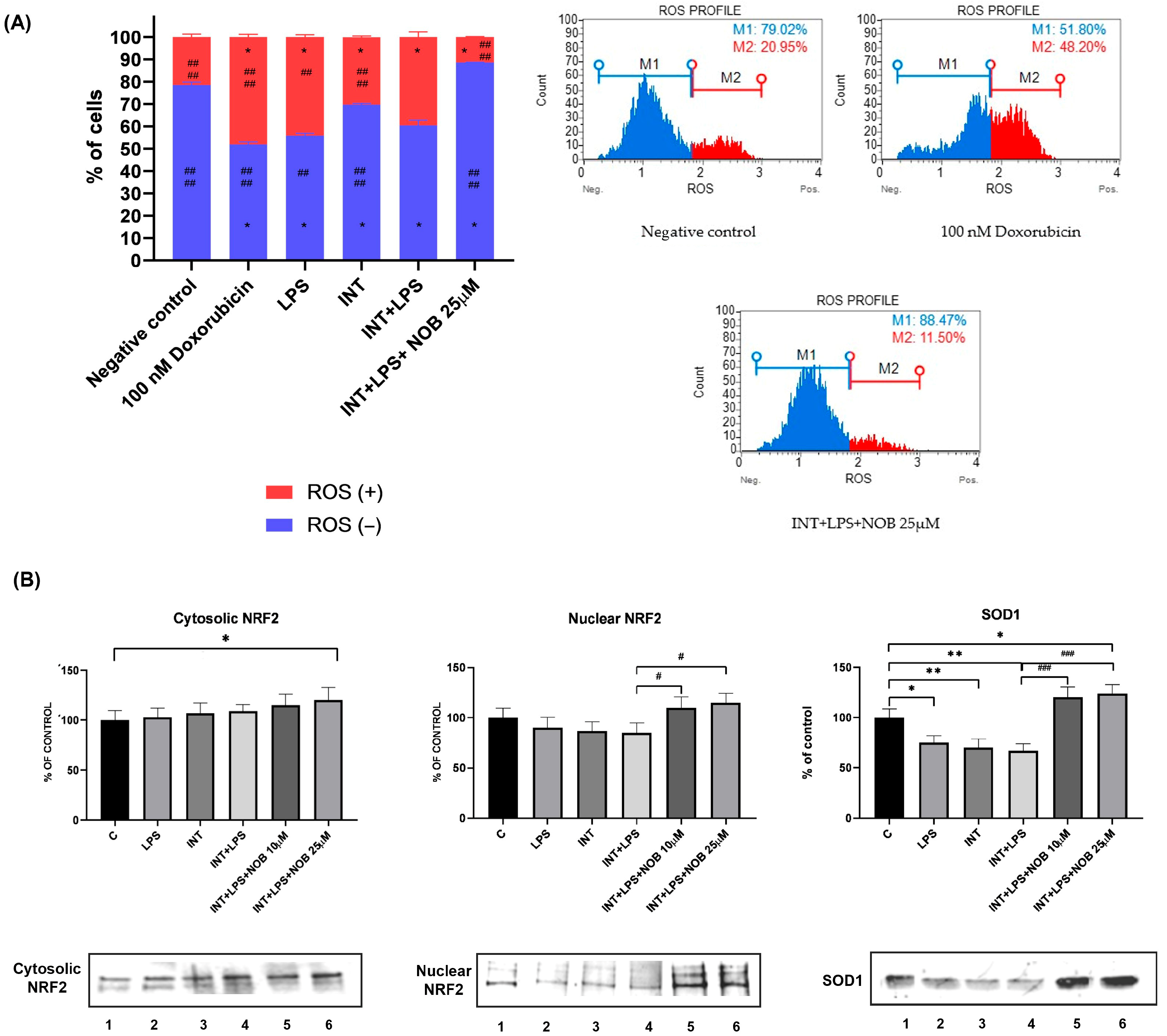 Pharmaceutics 18 00087 g005