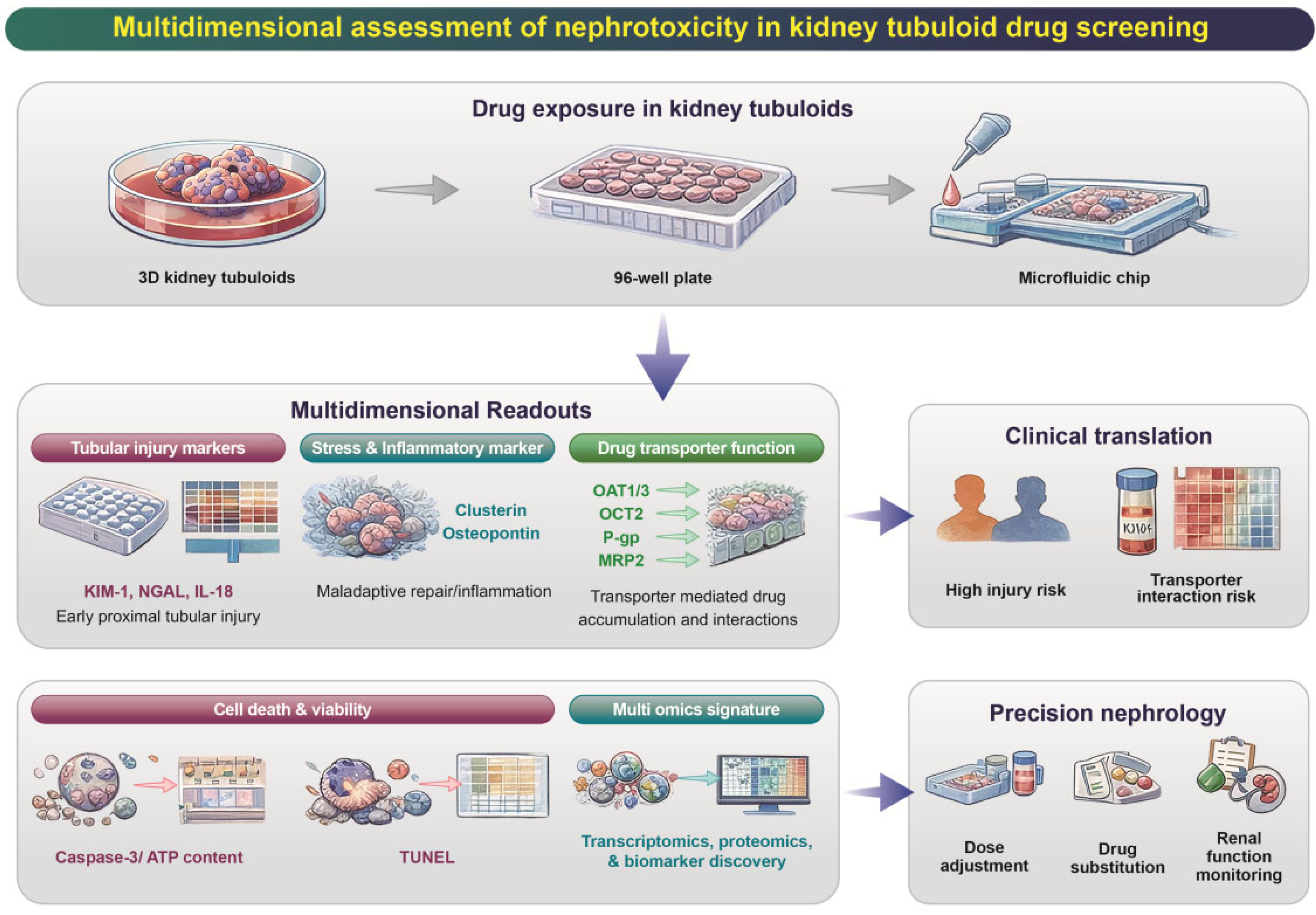 Pharmaceutics 18 00147 g003