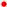 Pharmaceutics 18 00163 i001