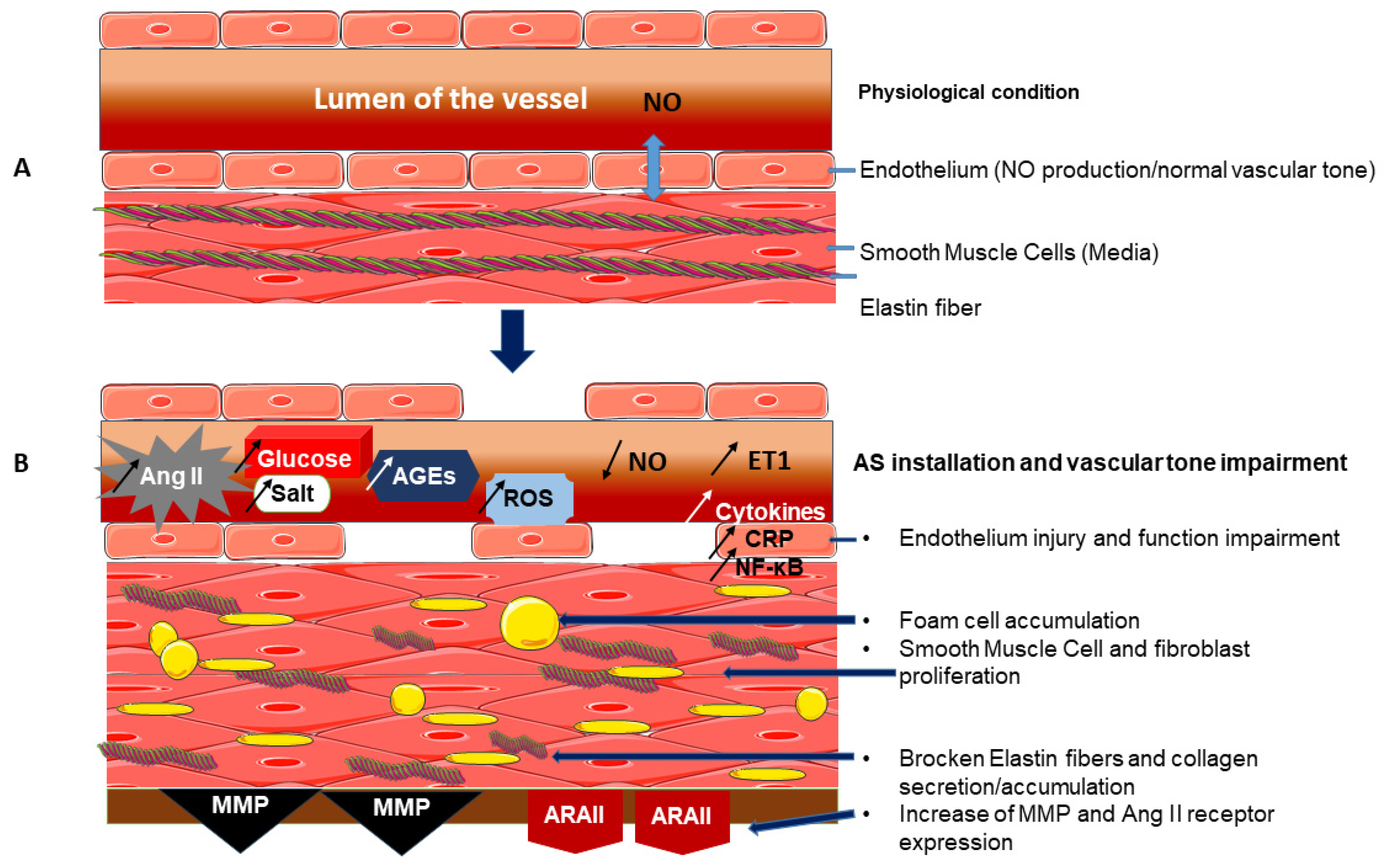 Pharmaceutics 18 00166 g001