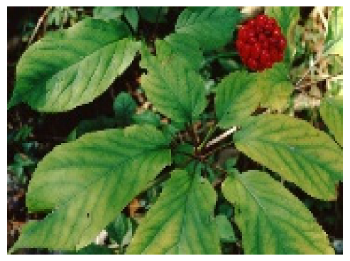 Pharmaceutics 18 00166 i003