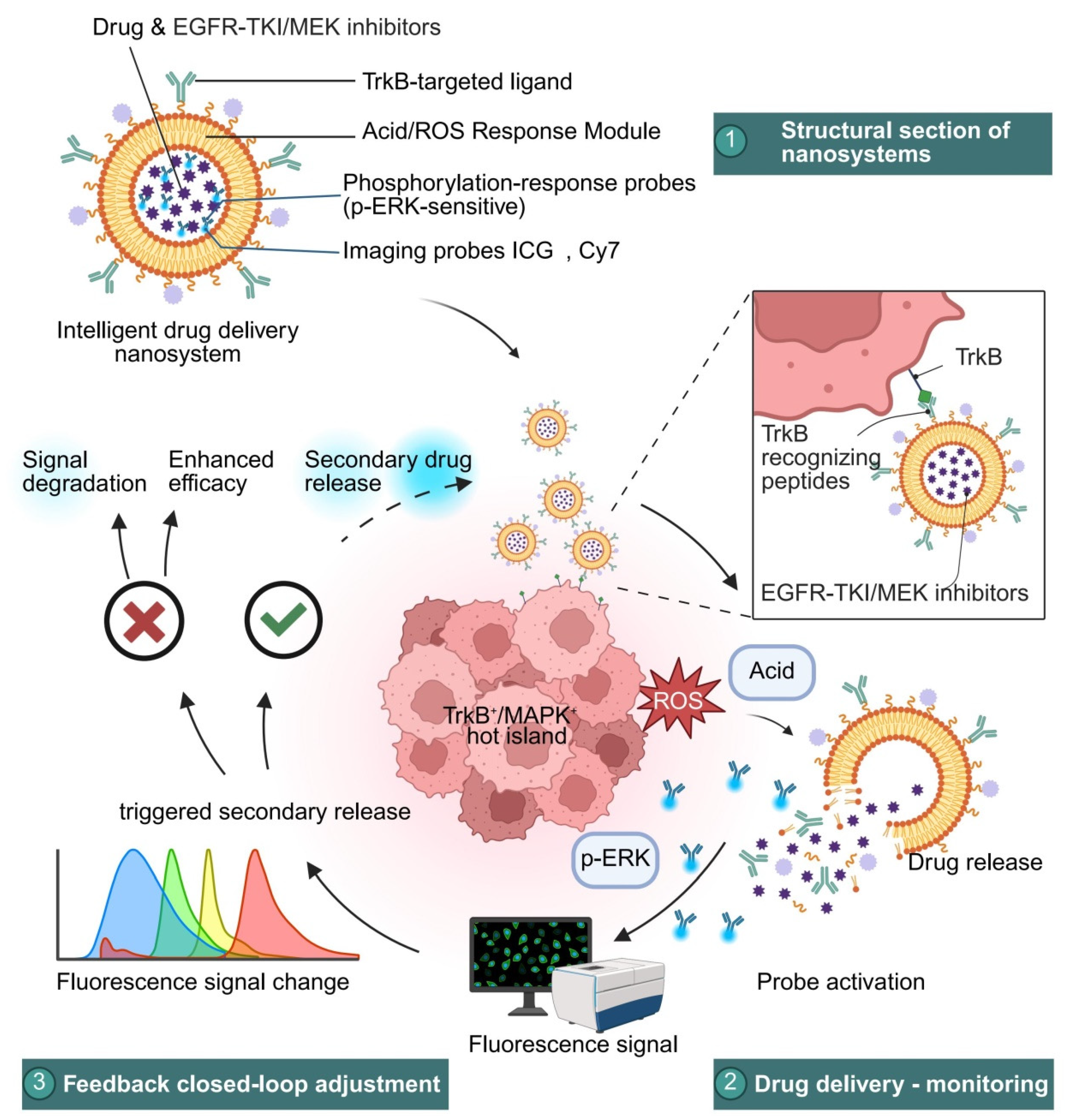 Pharmaceutics 18 00181 g014