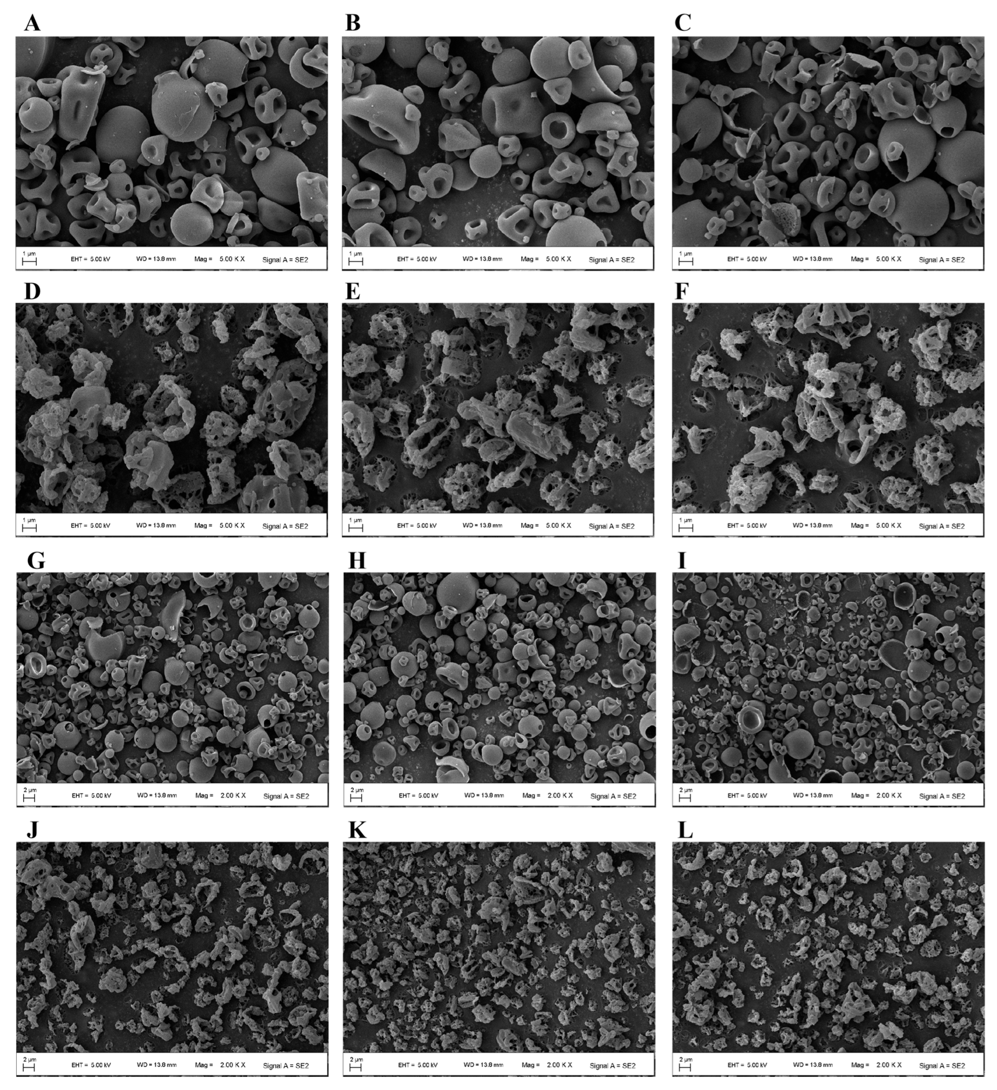 Pharmaceutics 18 00191 g006 Pharmaceutics 18 00191 g006