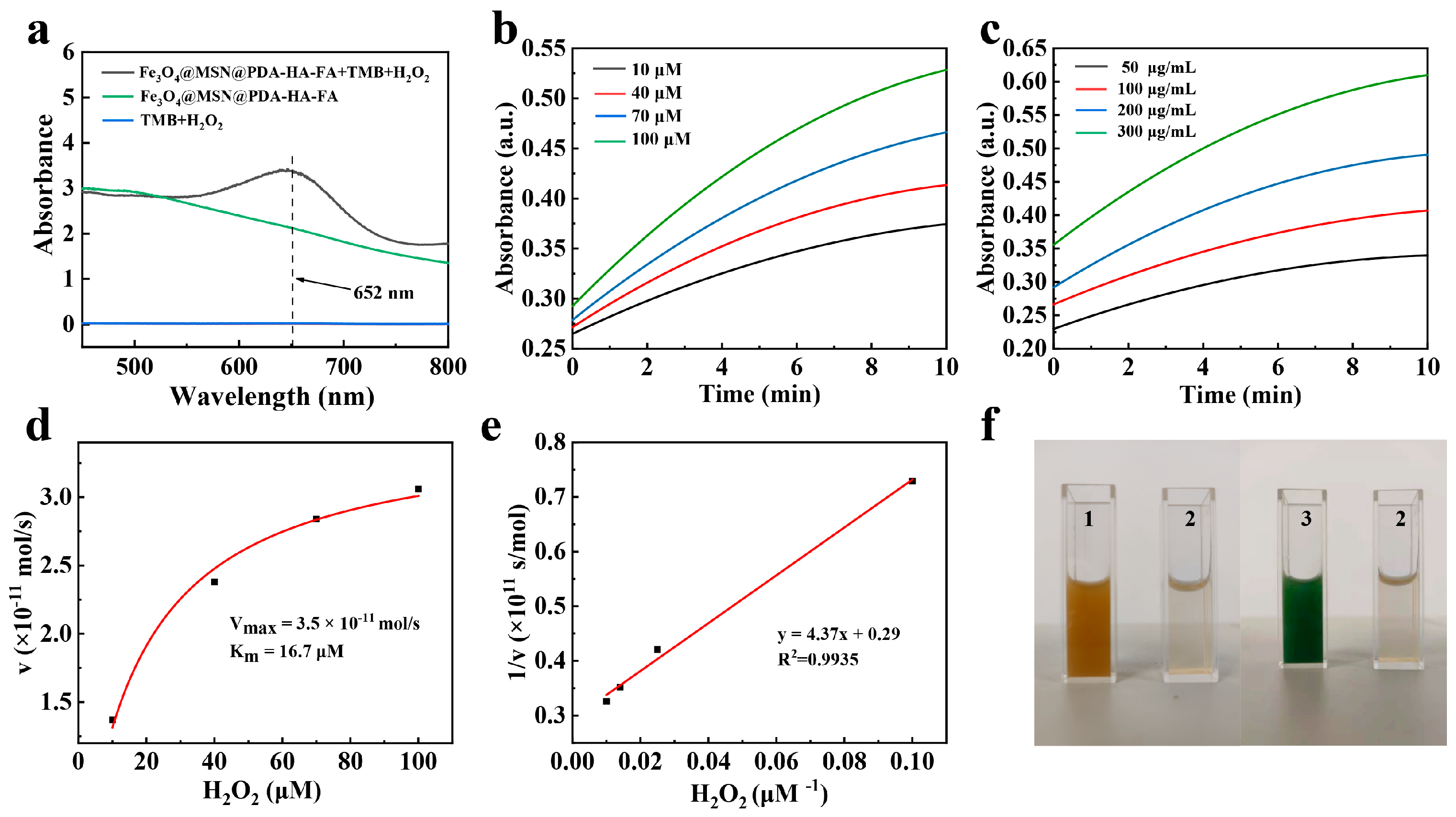 Pharmaceutics 18 00195 g004