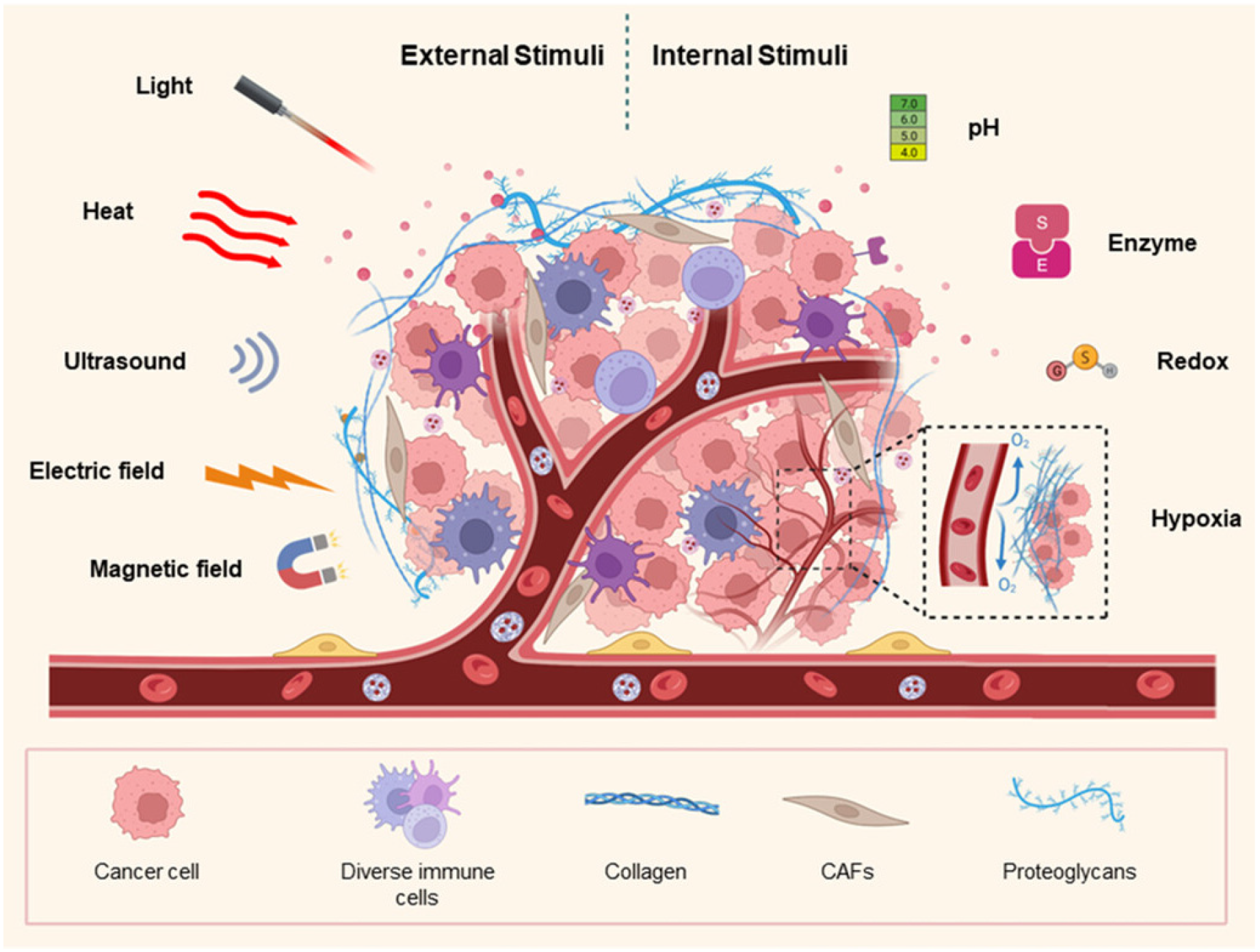 Pharmaceutics 18 00196 g001