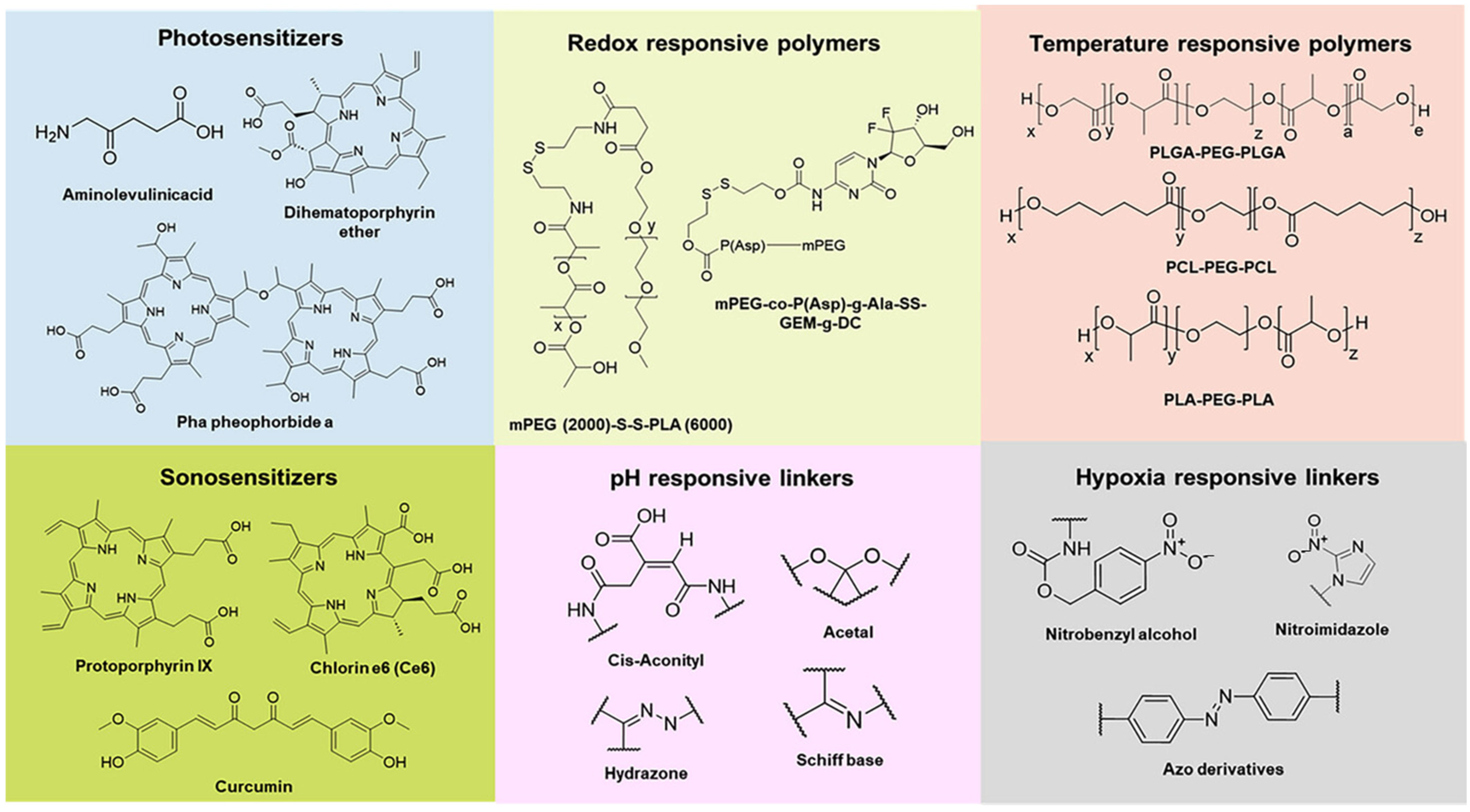 Pharmaceutics 18 00196 g002