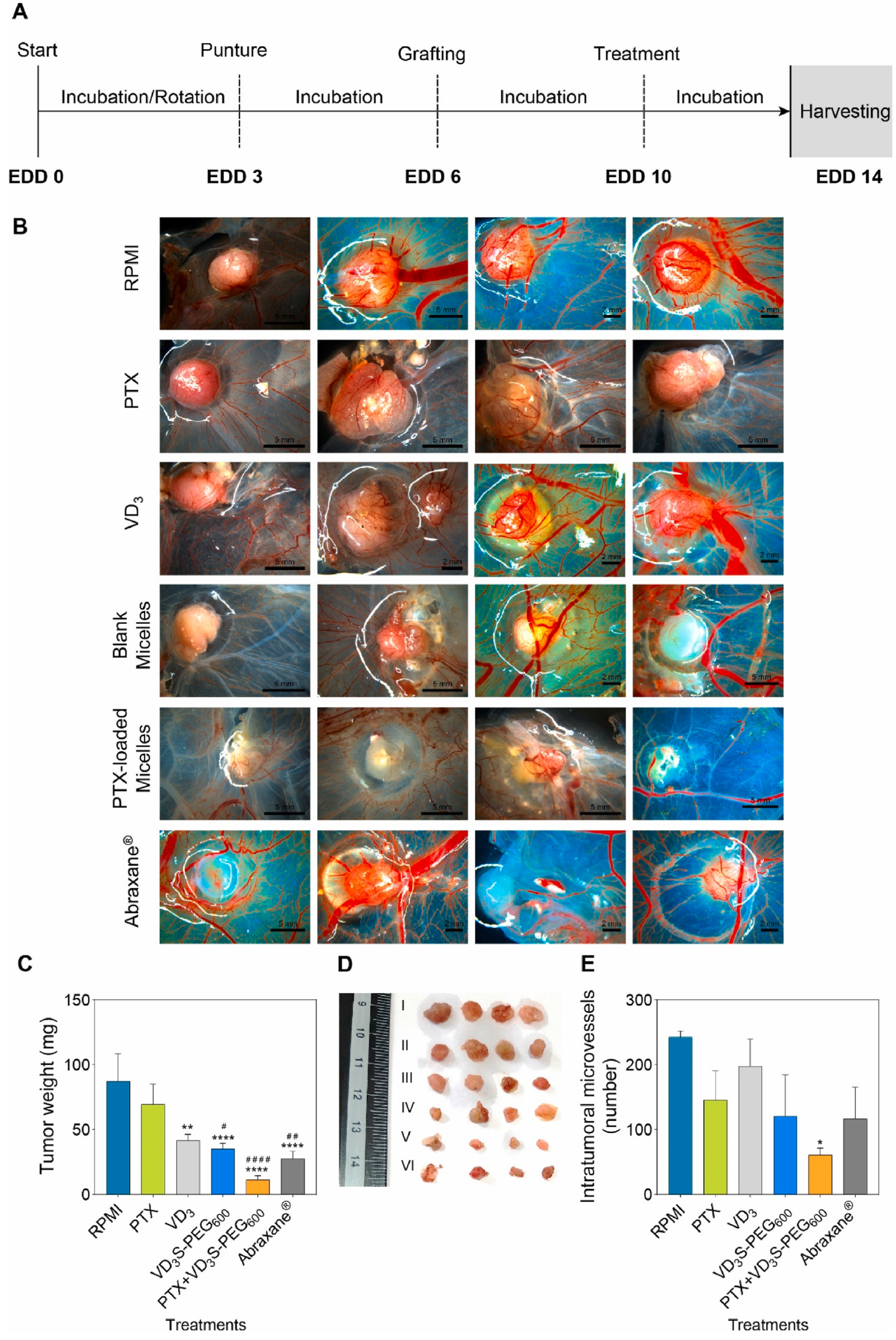 Pharmaceutics 18 00196 g004