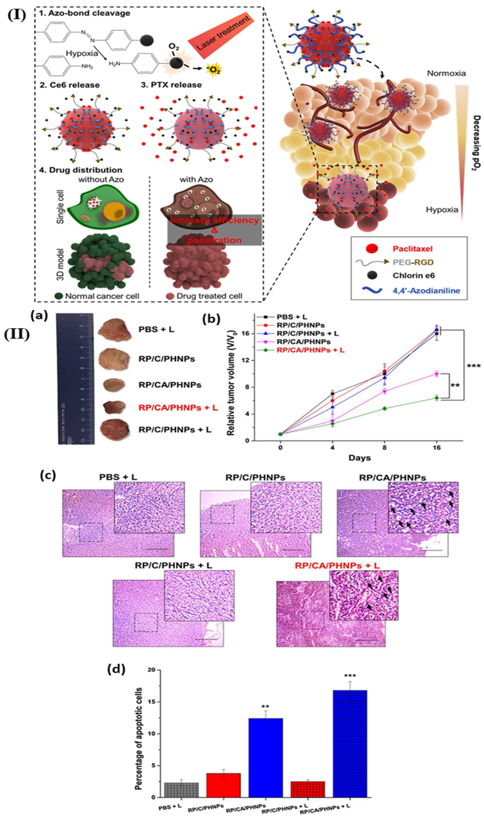 Pharmaceutics 18 00196 g006