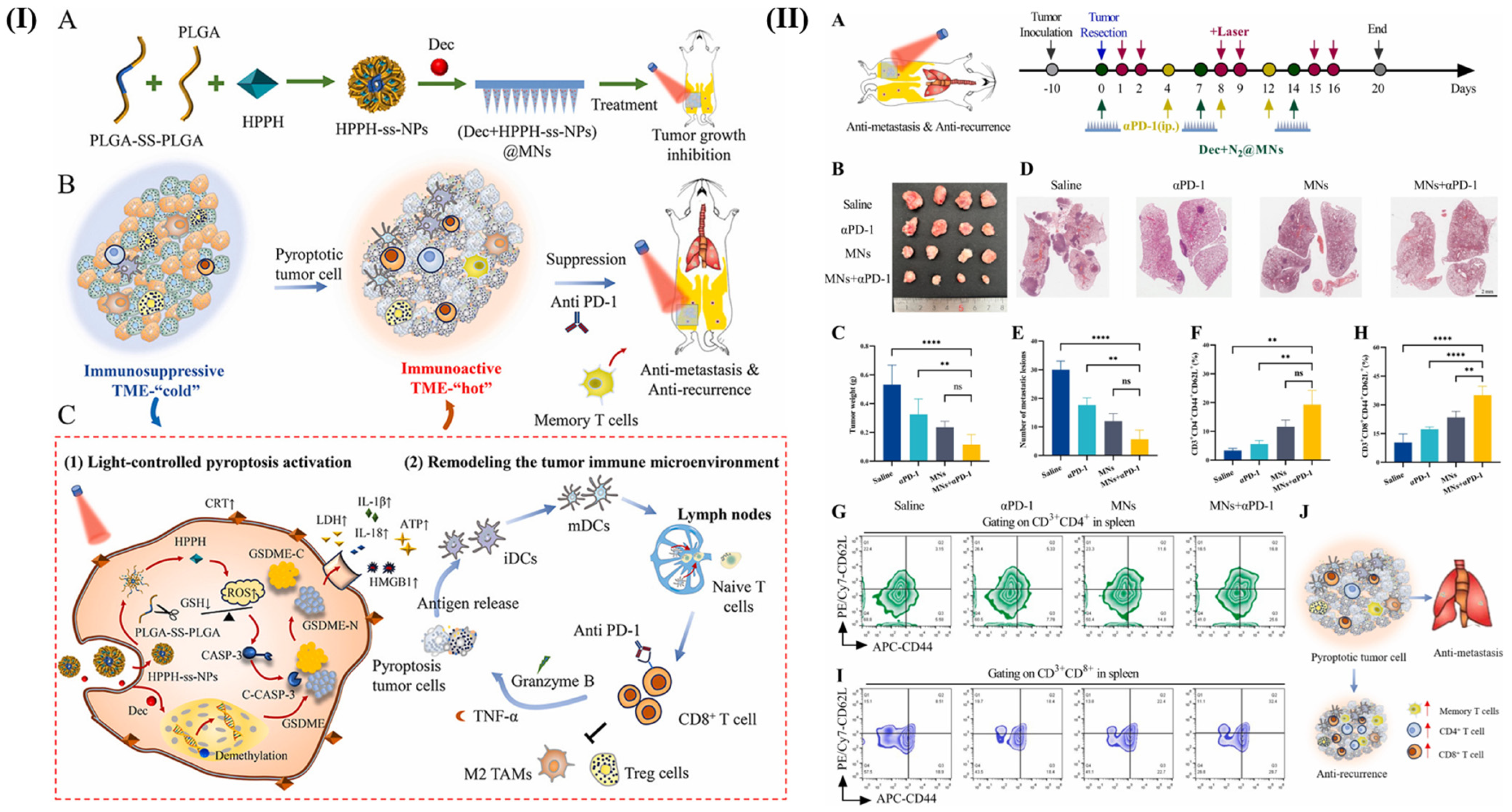 Pharmaceutics 18 00196 g007