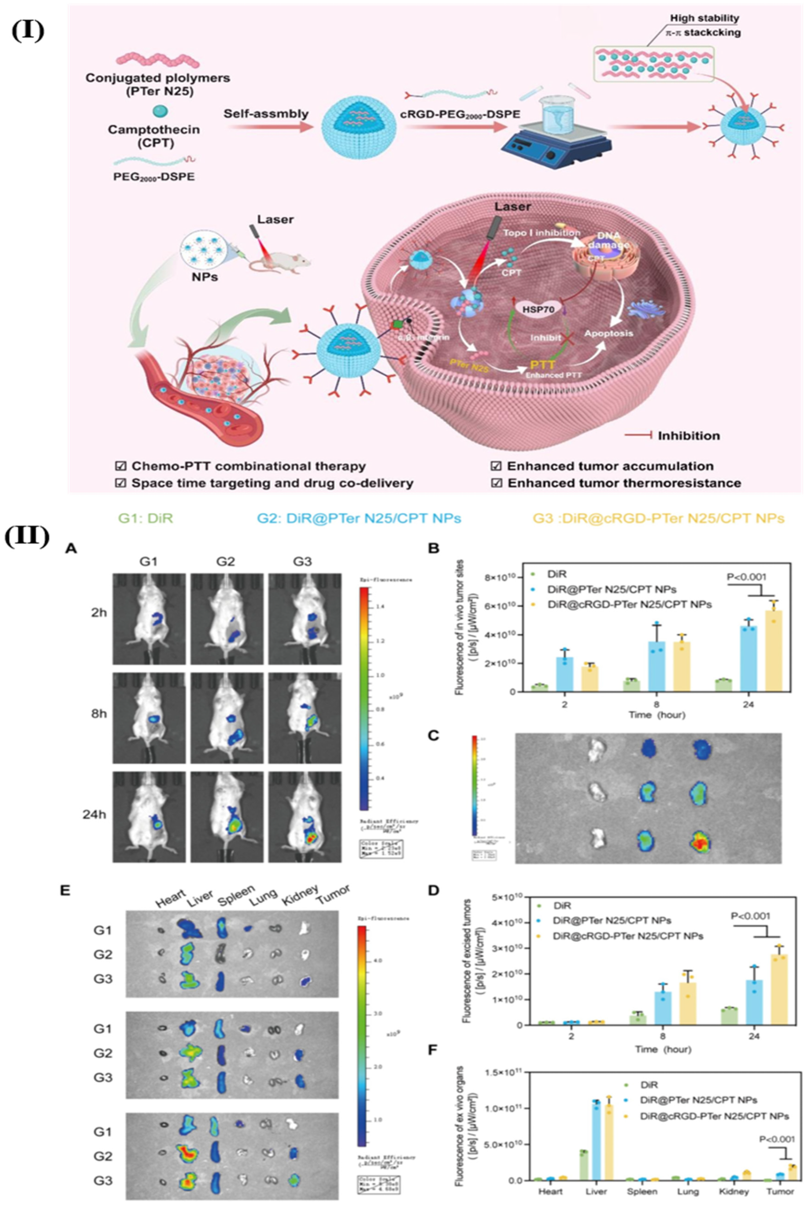 Pharmaceutics 18 00196 g008