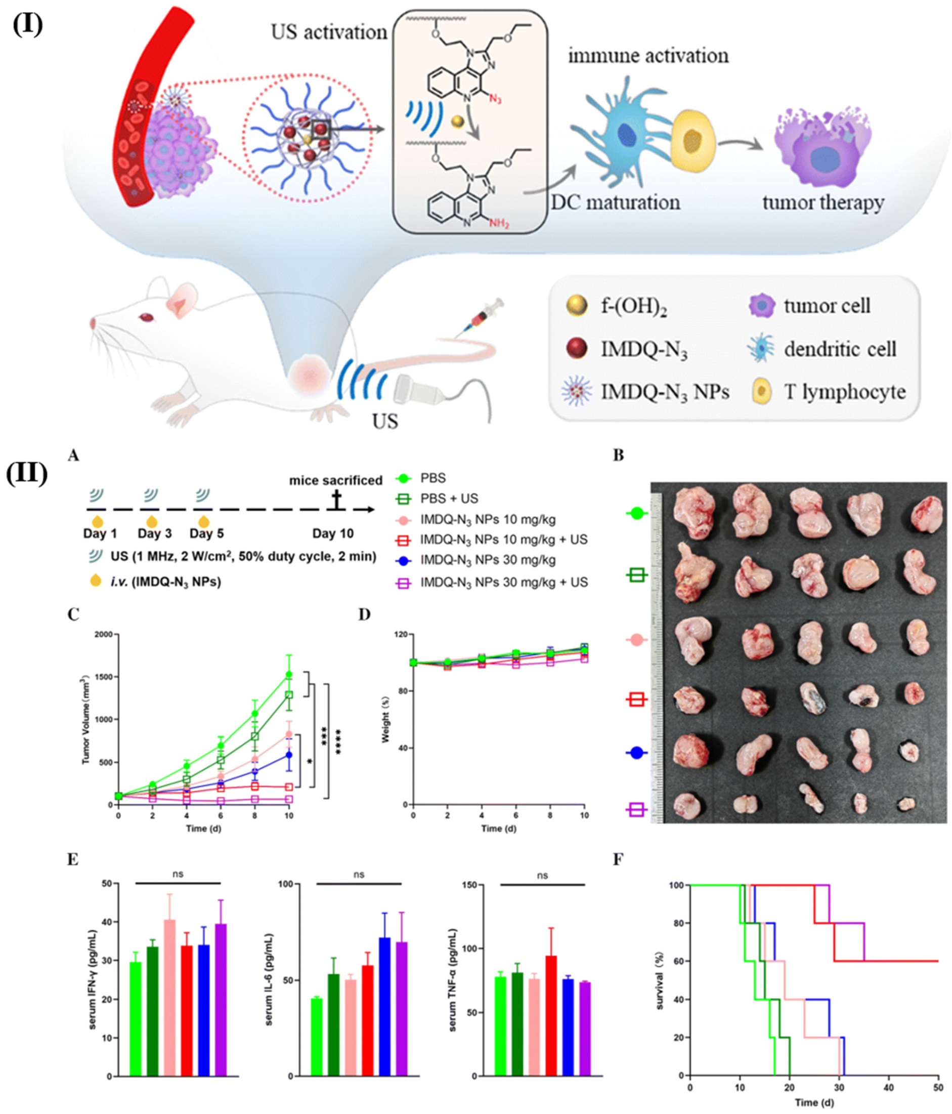 Pharmaceutics 18 00196 g009