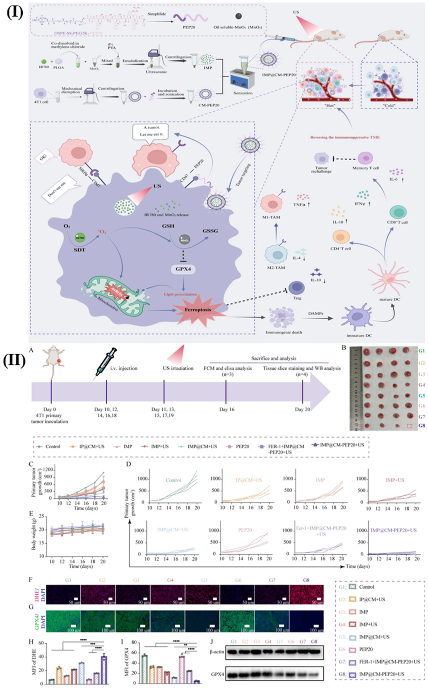 Pharmaceutics 18 00196 g010