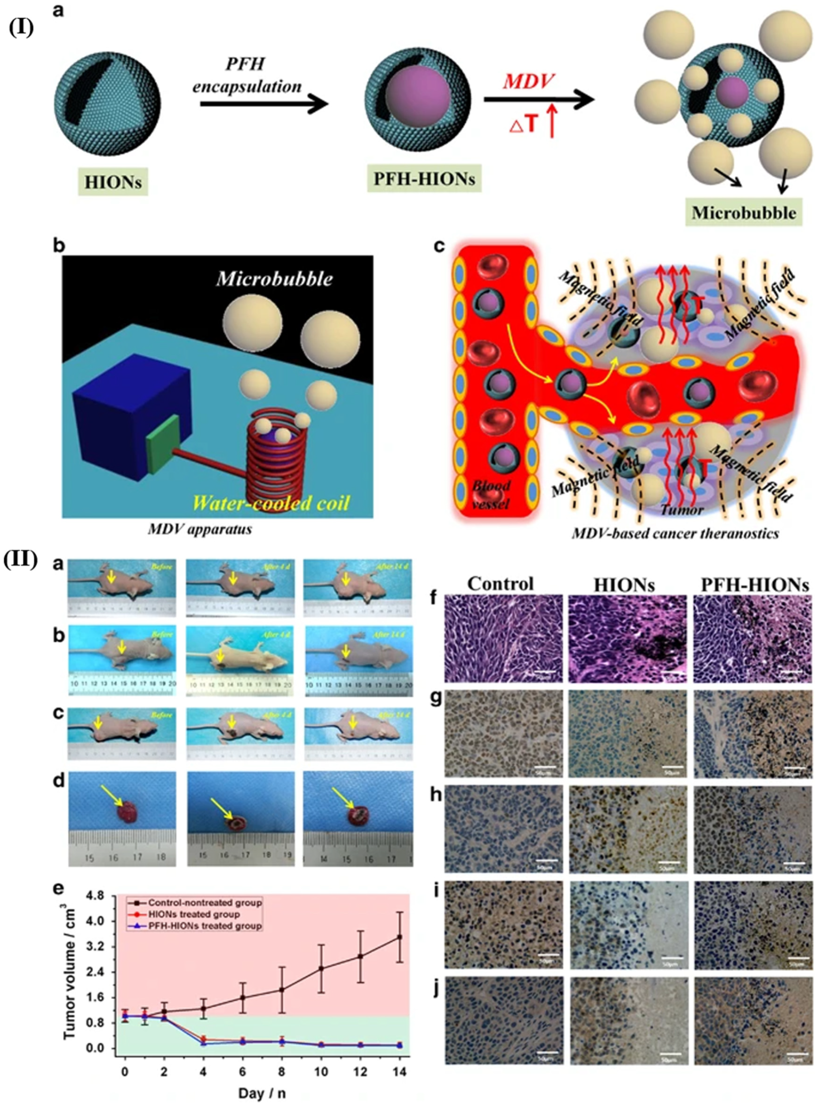 Pharmaceutics 18 00196 g011