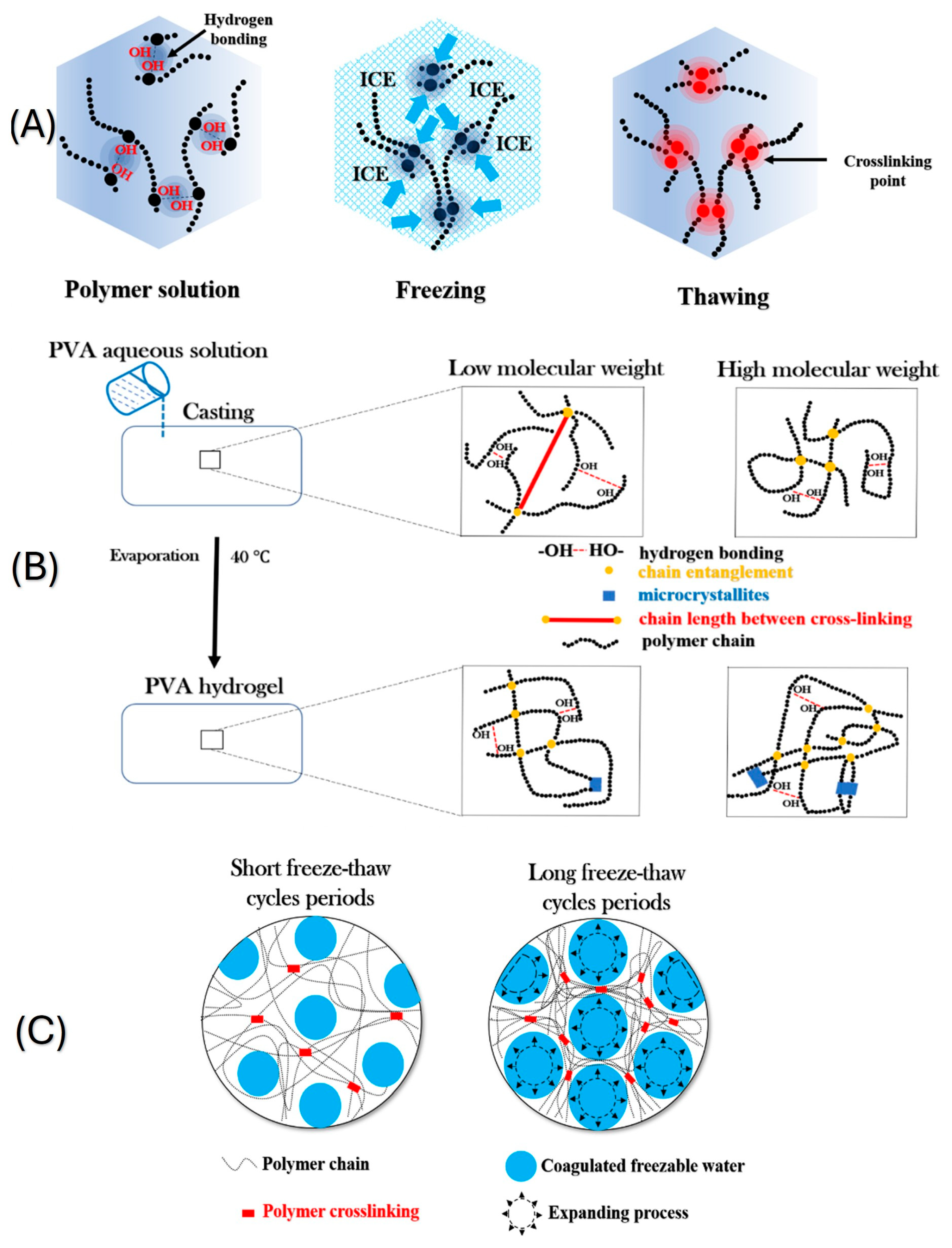 Pharmaceutics 18 00198 g002