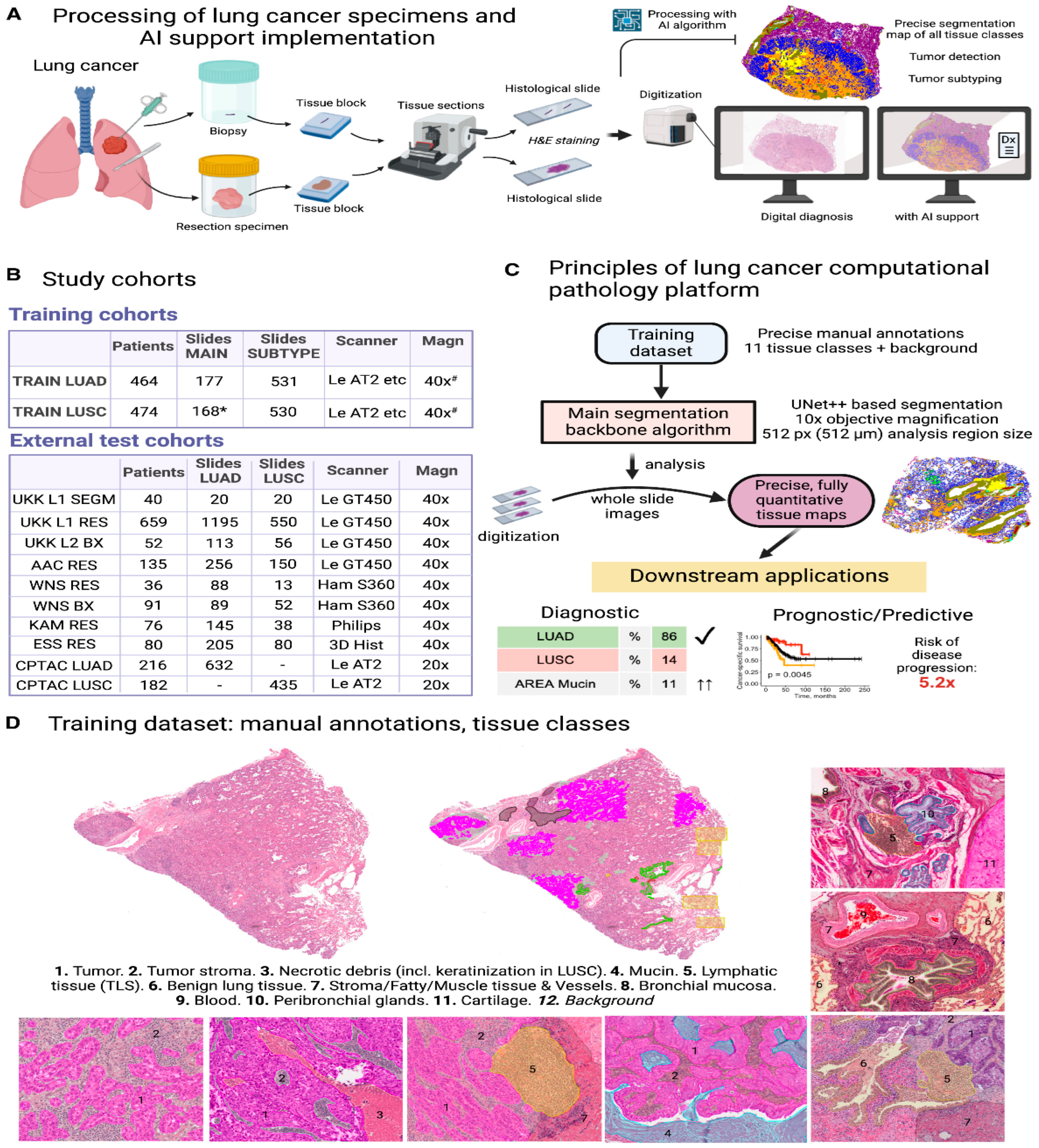 Pharmaceutics 18 00201 g006