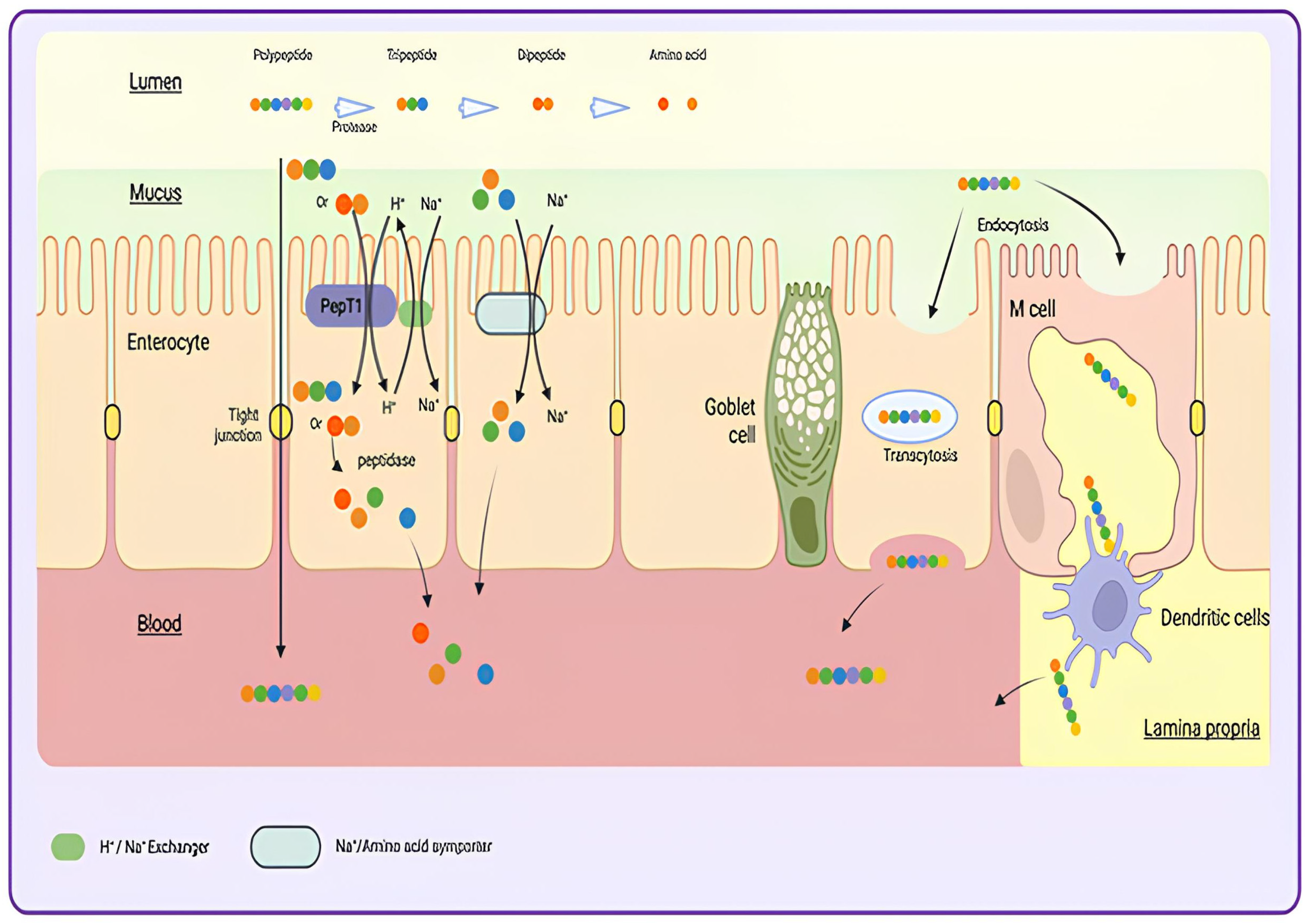 Pharmaceutics 18 00223 g001