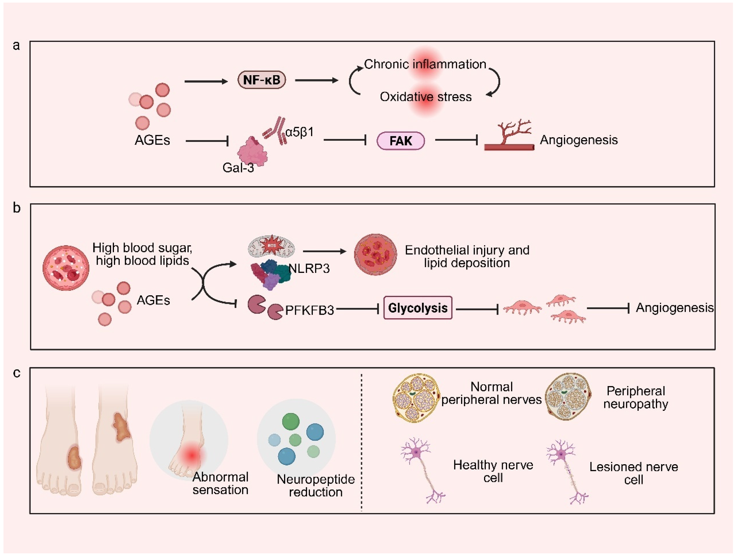 Novel AI-Driven Precision Strategies in Diabetic Wound Healing ...