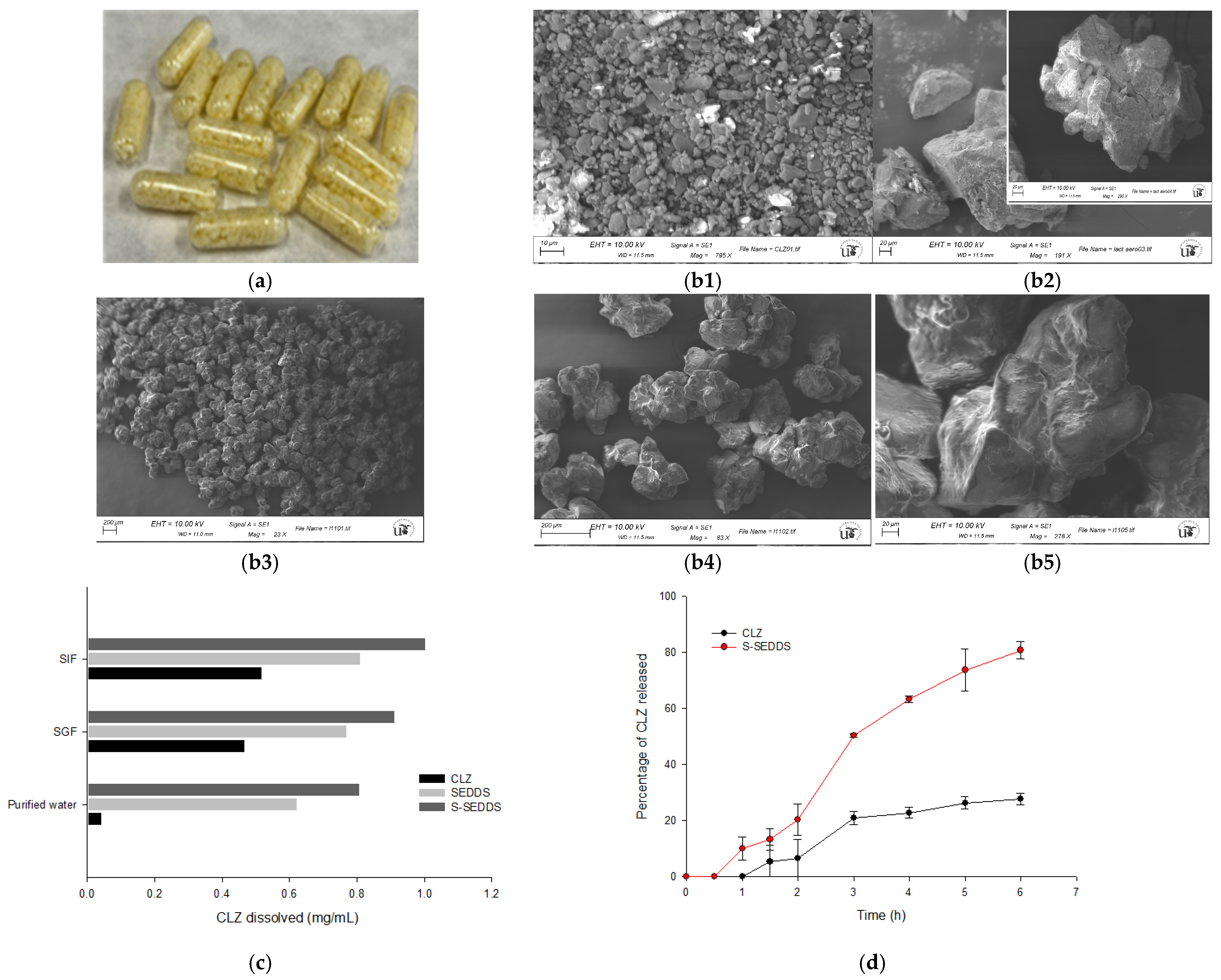 Pharmaceutics 18 00305 g006
