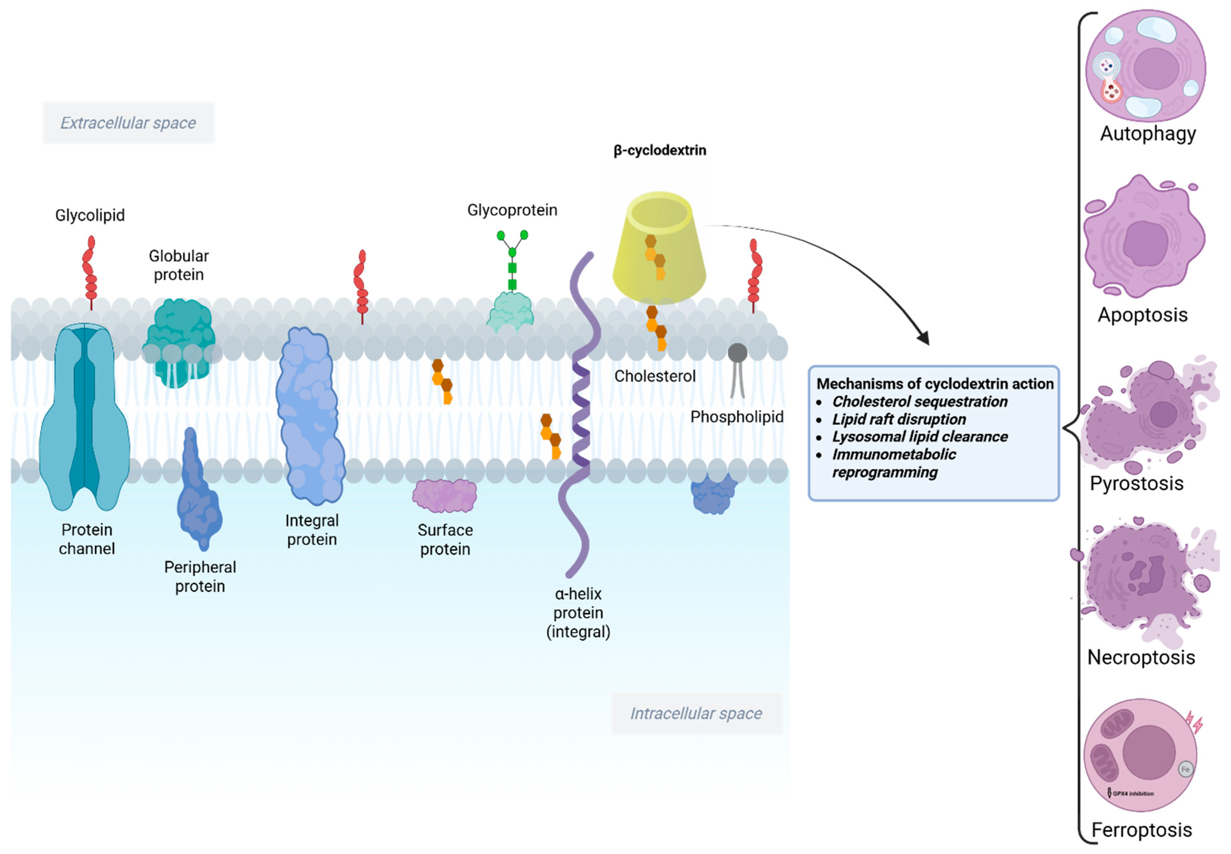 Pharmaceutics 18 00306 g001 Pharmaceutics 18 00306 g001