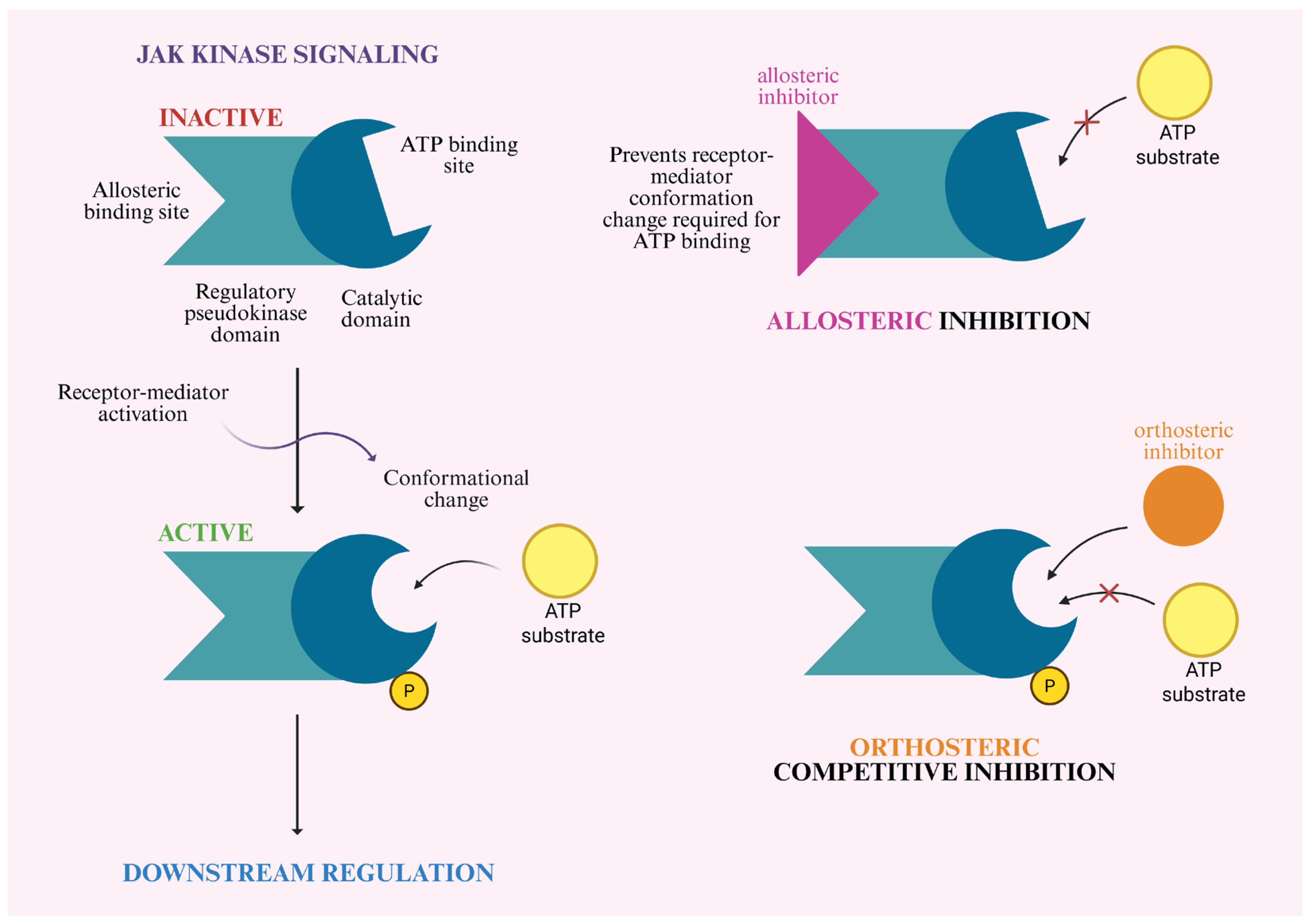 Pharmaceutics 18 00347 g003