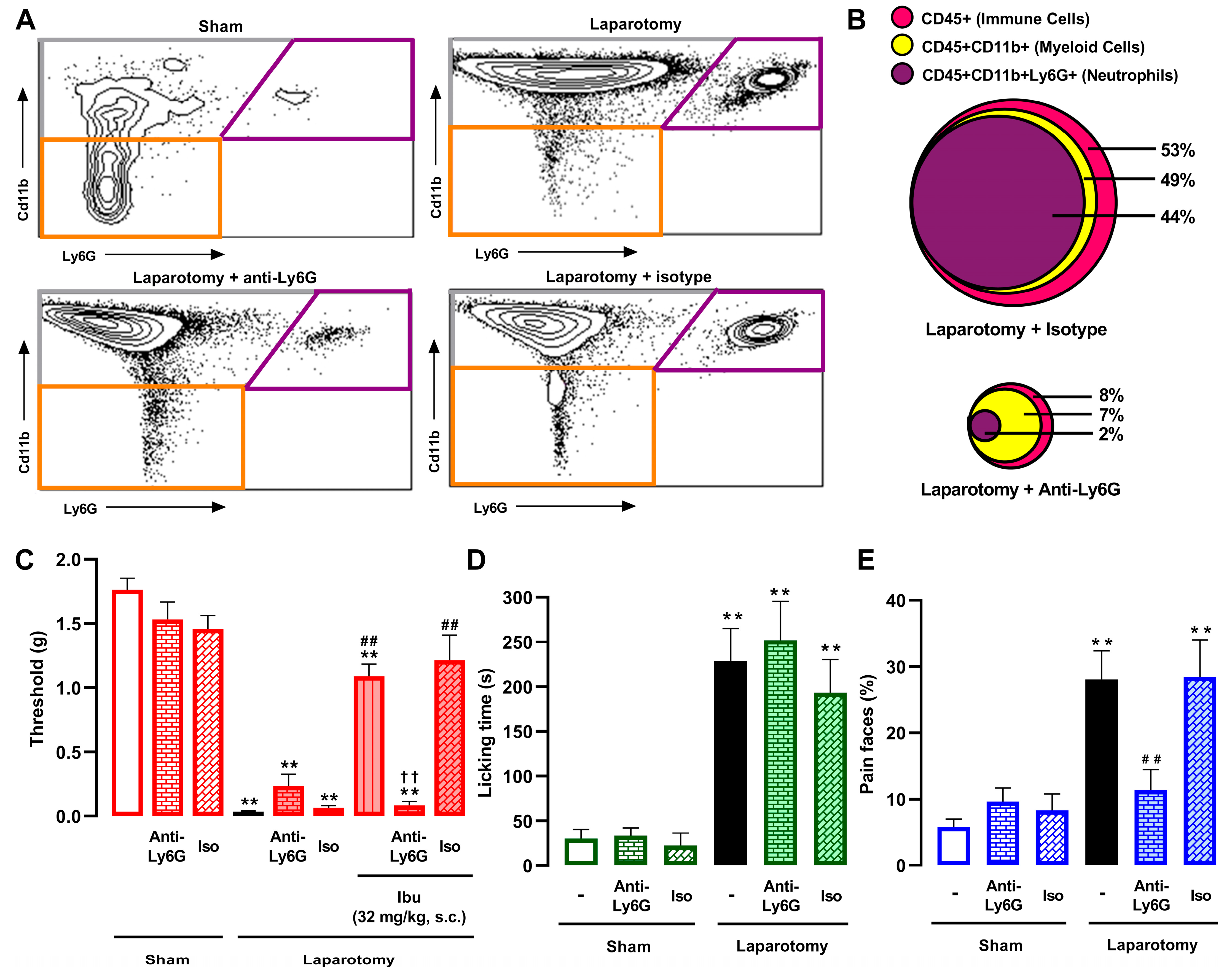 Pharmaceutics 18 00392 g005 Pharmaceutics 18 00392 g005