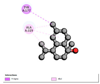 Pharmaceutics 18 00397 i005 Pharmaceutics 18 00397 i005
