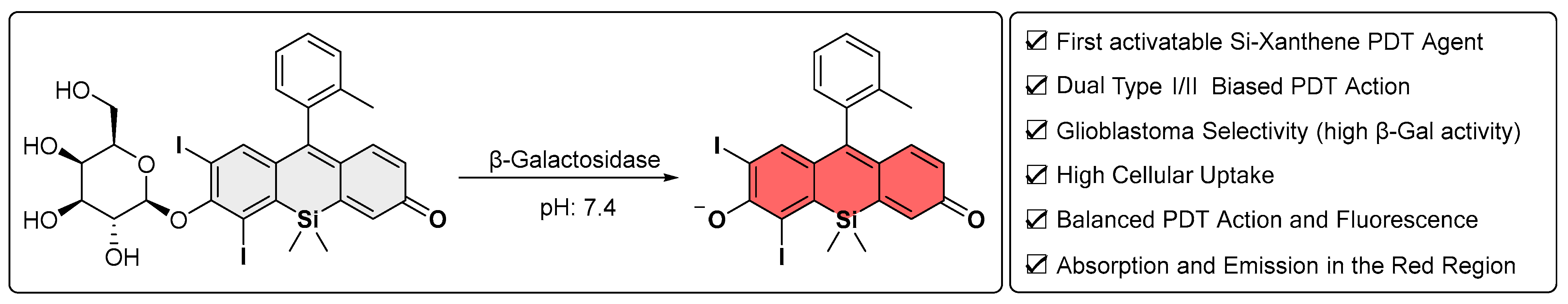 Pharmaceutics 18 00420 g001 Pharmaceutics 18 00420 g001