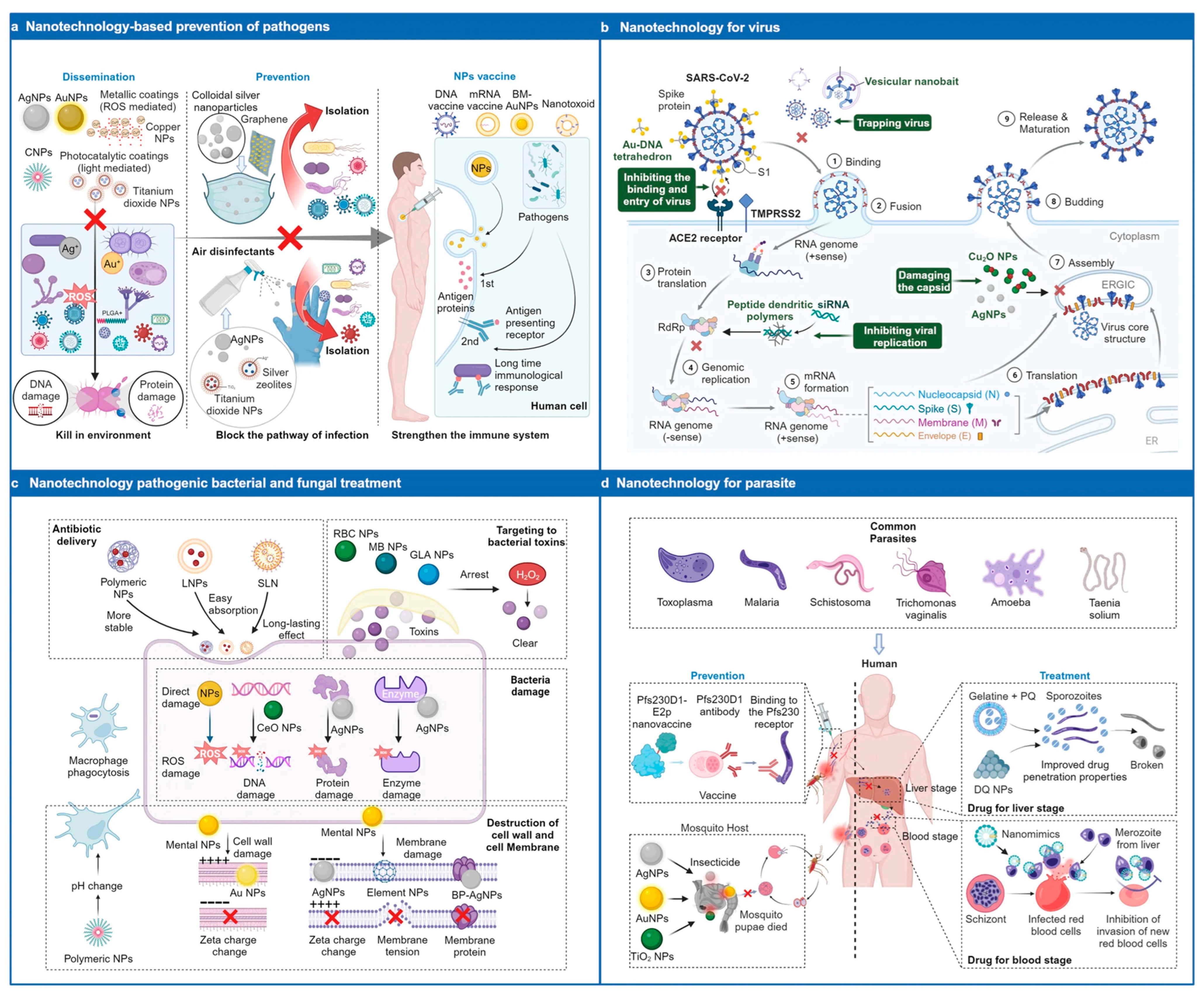 Pharmaceutics 18 00423 g012