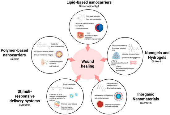 Advances in Nanotechnology-Assisted Delivery of TCM-Derived Bioactive Compounds for Wound Repair Advances in Nanotechnology-Assisted Delivery of TCM-Derived Bioactive Compounds for Wound Repair