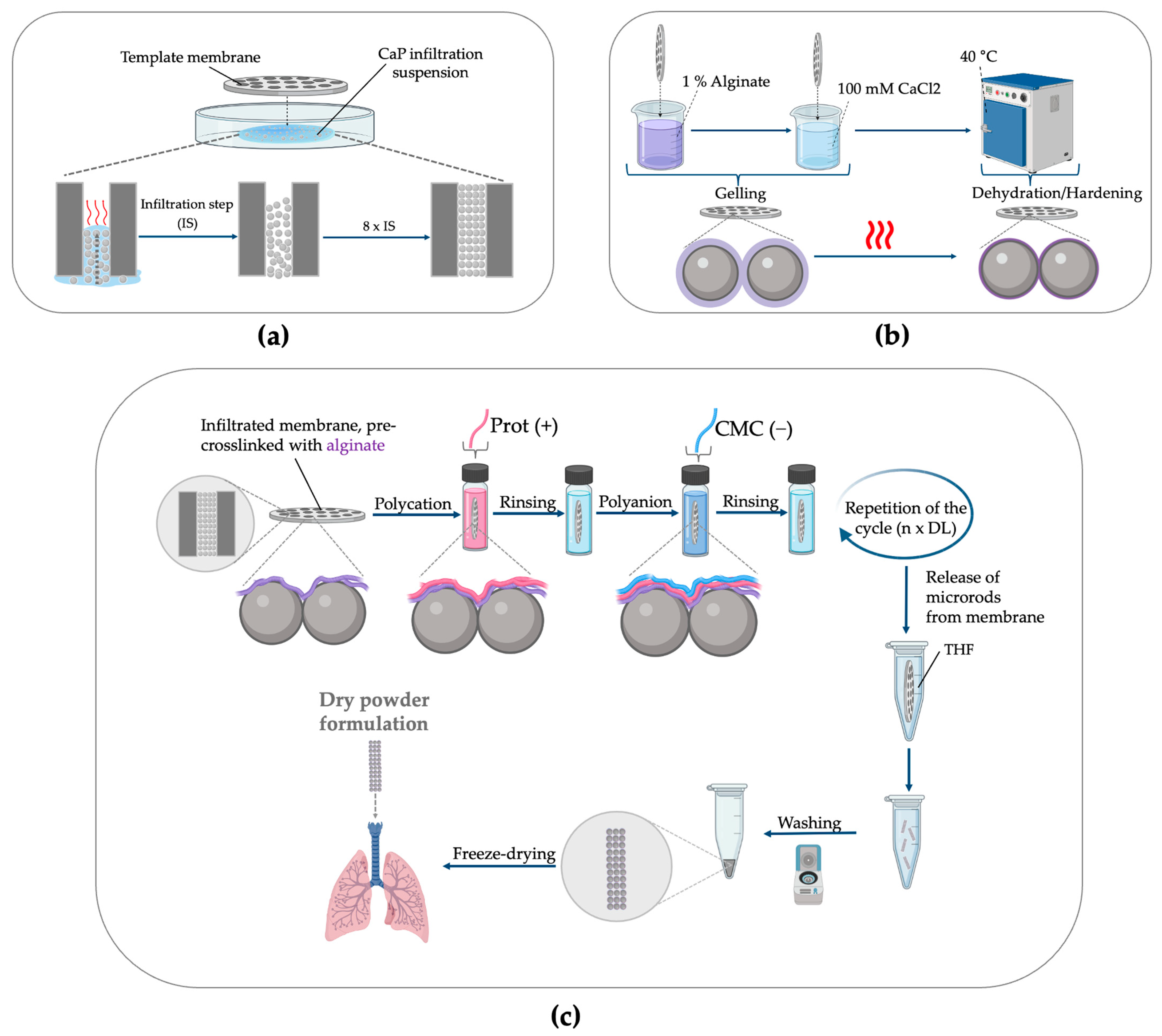 Pharmaceutics 18 00428 g001