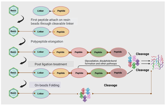 Functional Peptides: Comparing Synthetic and Sequence-Engineered