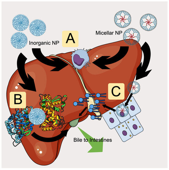buy melanotan melanotan 2 peptide where to buy Melanotan 2